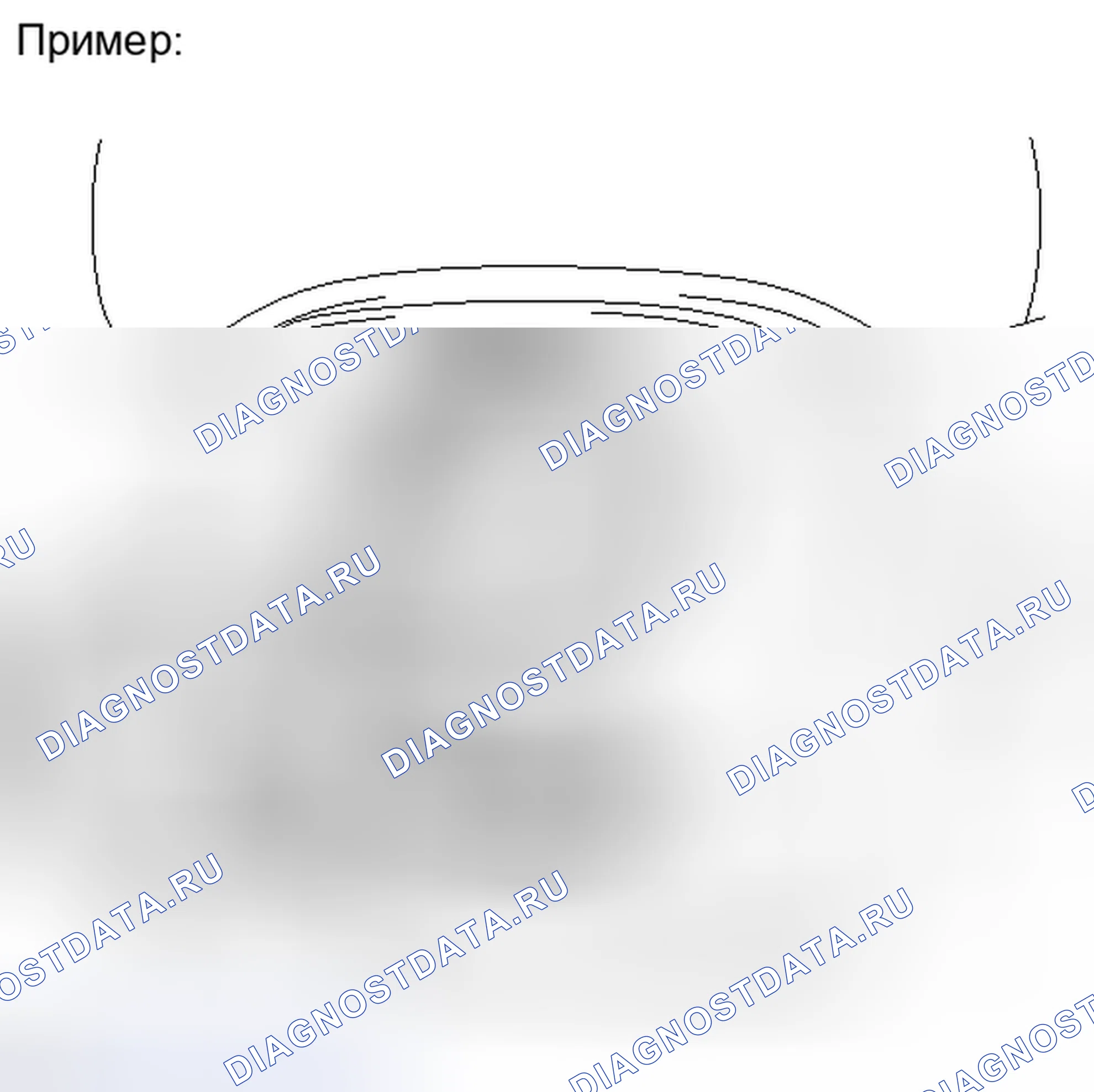 Рис. 25. Toyota Venza I
