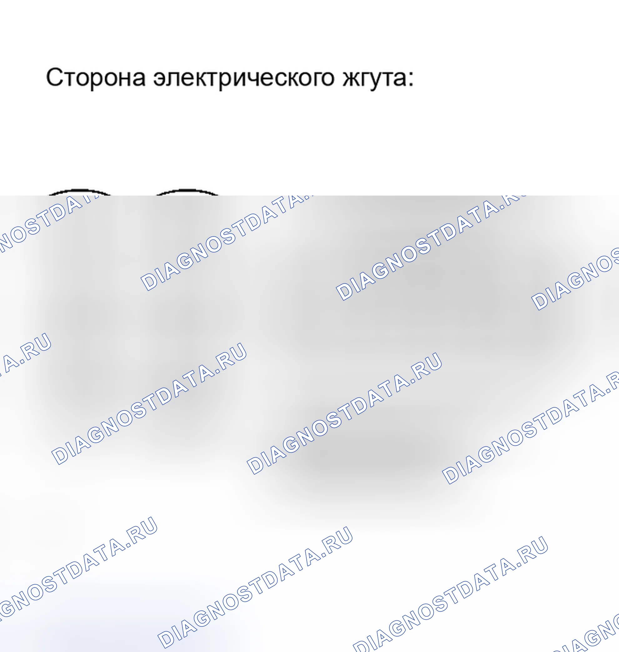 Рис. 218. Haval Xiaolong Max I