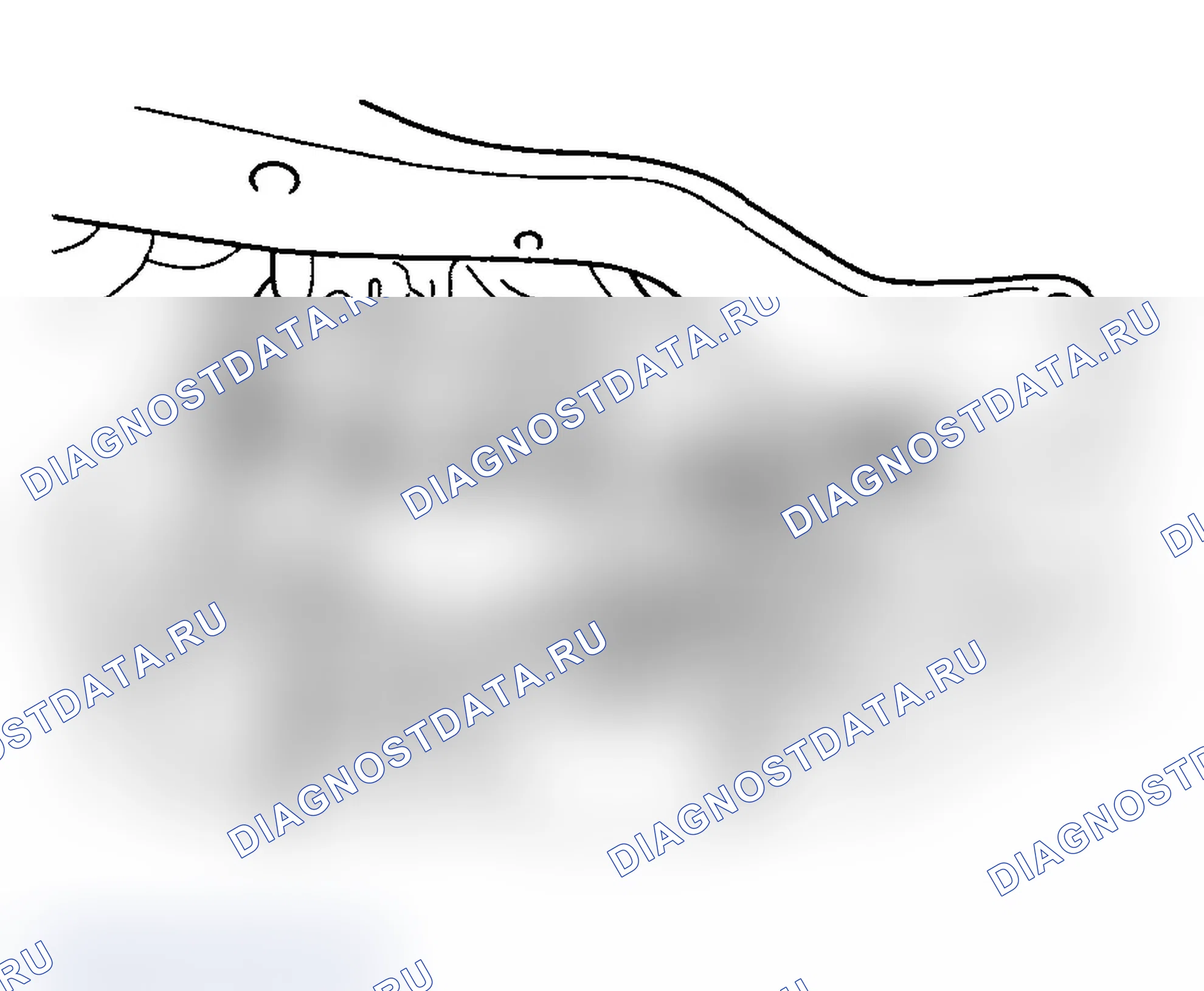 Рис. 21. Hyundai Santa Fe I