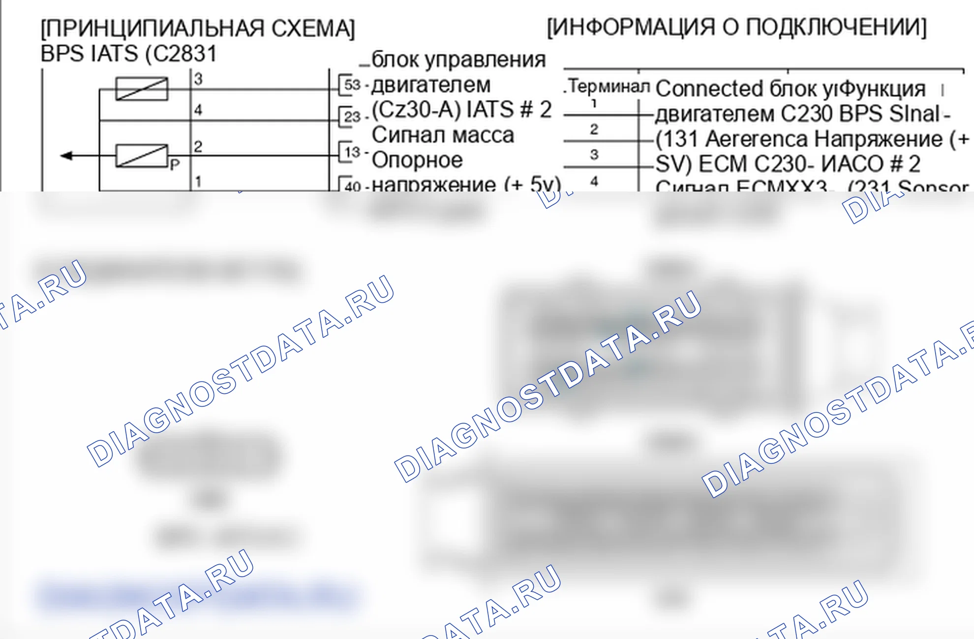 Фрагмент электросхемы: P0097. Hyundai Santa Fe CM