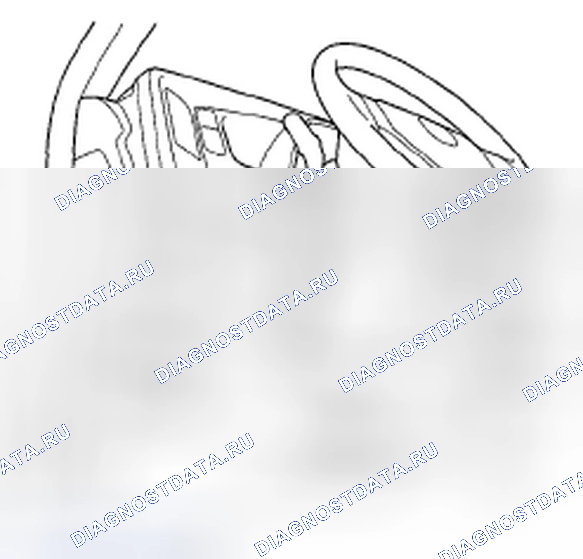Рис. 8: Метод HDS. Honda Ridgeline I рестайлинг