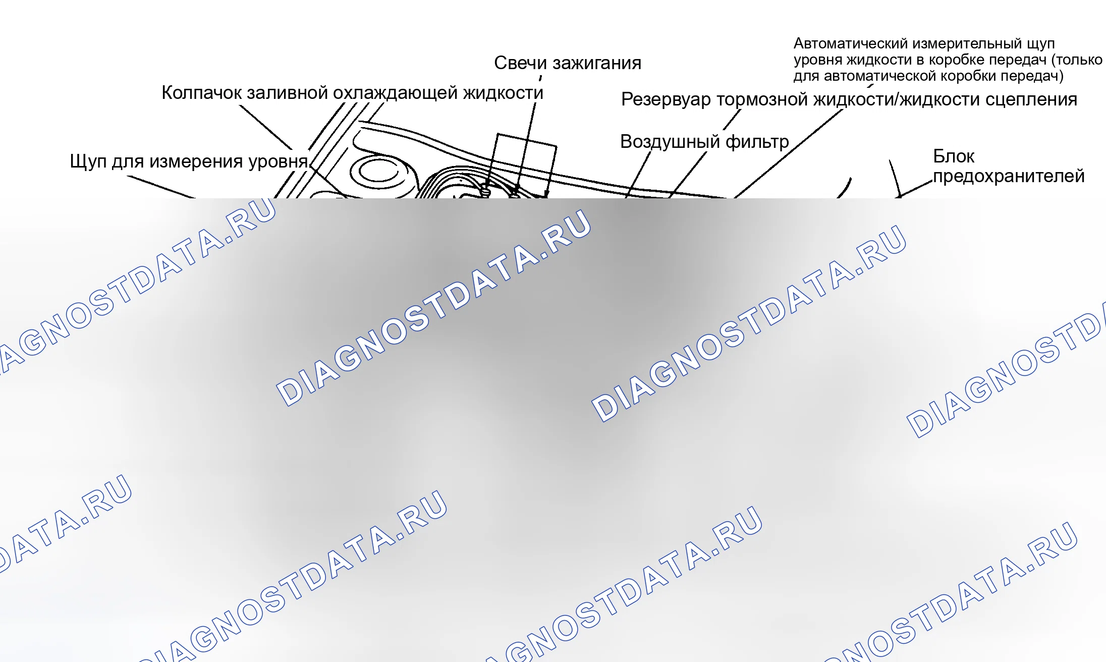Рис. 12. Honda Civic VIII