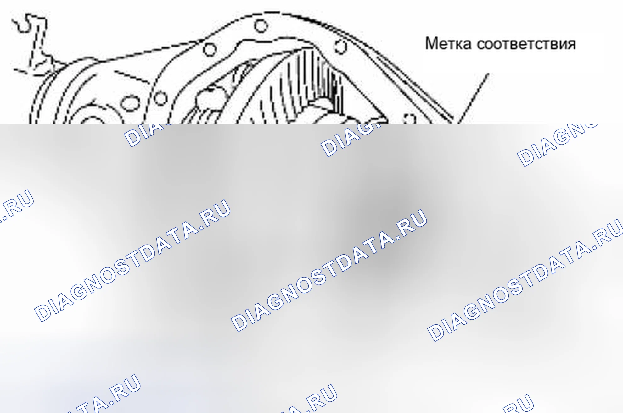 Рис. 351. Suzuki Equator I