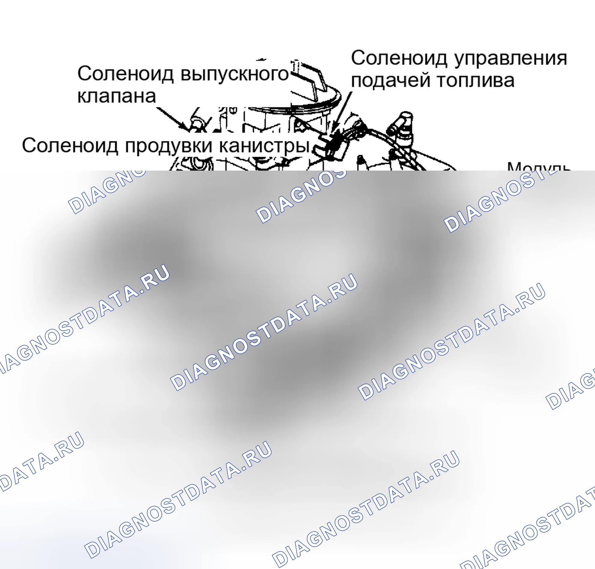 Рис. 5: Расположение компонентов (5 из 7). Ford Ranger 