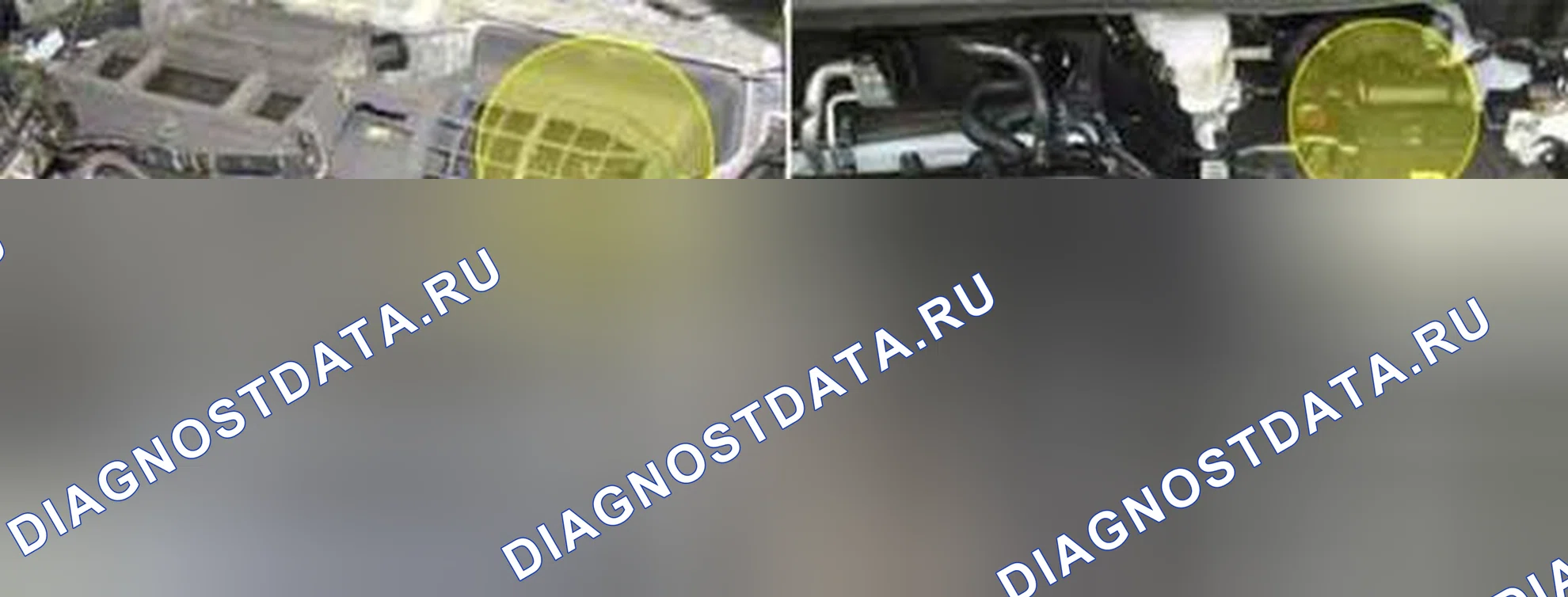 Рис. 127: Расположение компонентов. BMW 6 серия F06/F13/F12