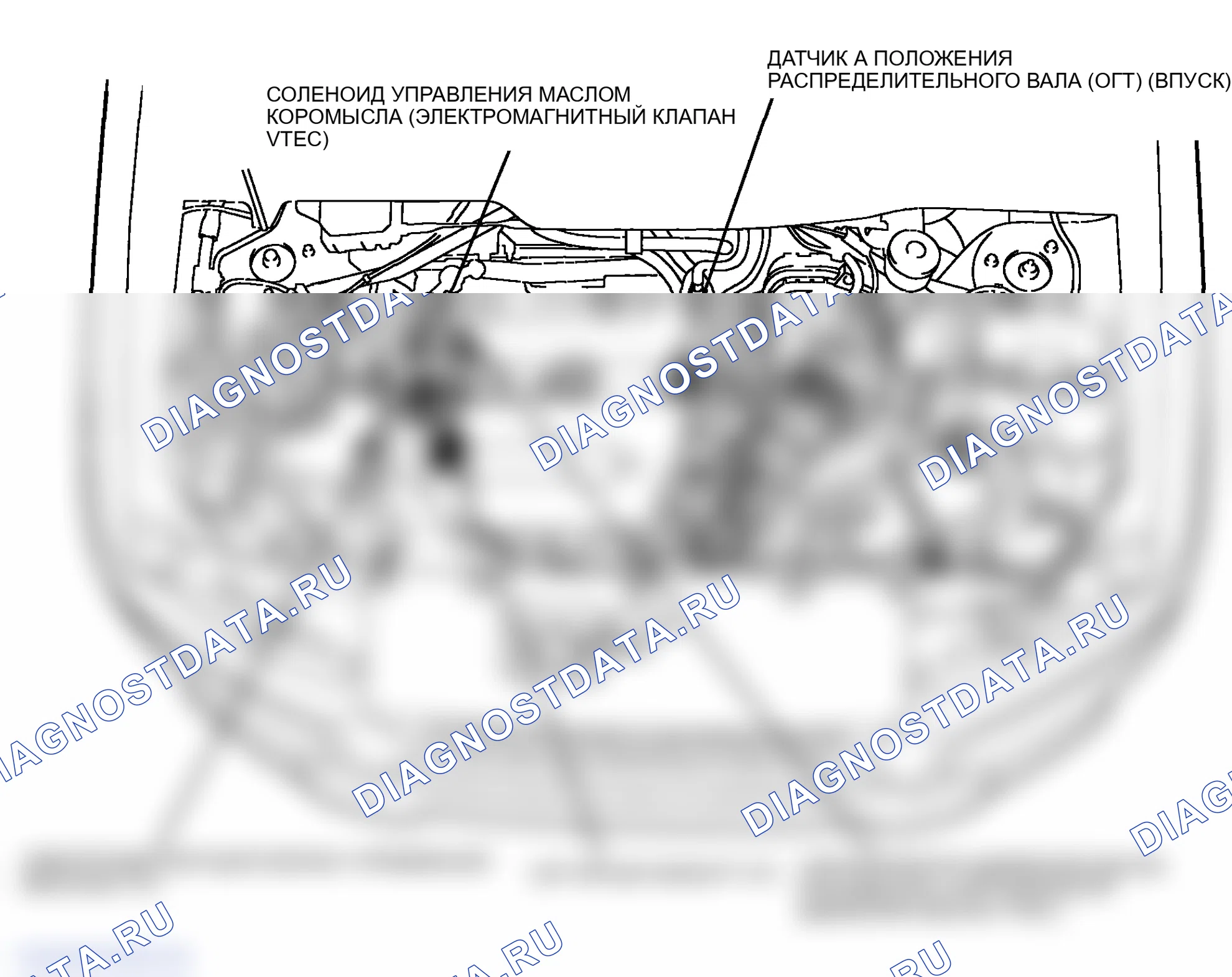Рис. 178: Указатель расположения компонентов. Honda Element YH2