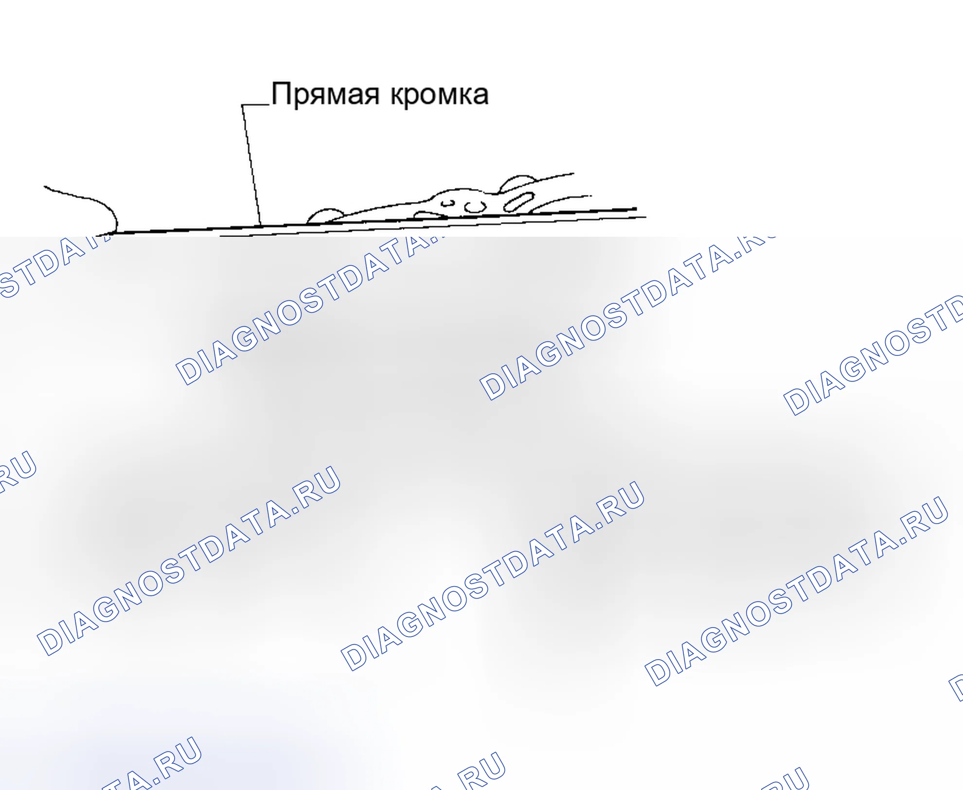 Рис. 233. Honda N-WGN I