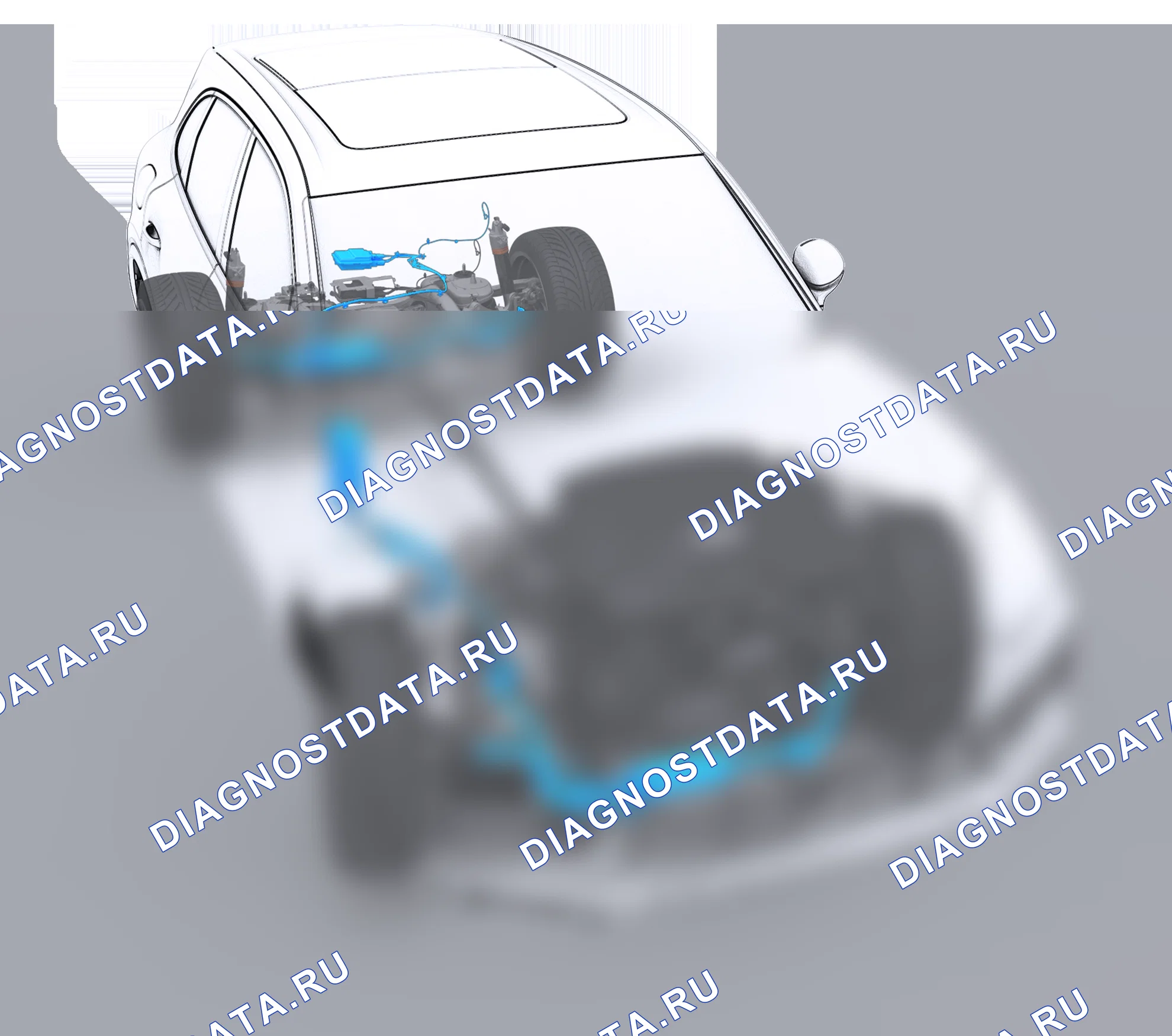 Кодировка. Porsche Taycan J1