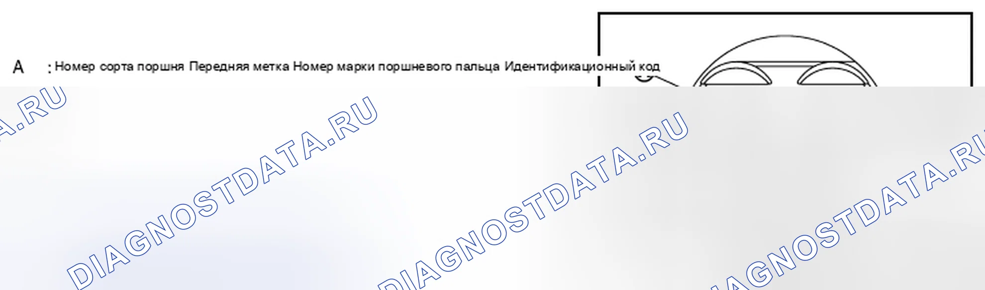 Рис. 286. Nissan Murano Z51 рестайлинг 2