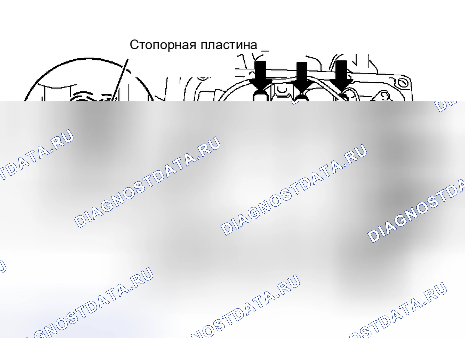 Рис. 1252. Toyota RAV4 III