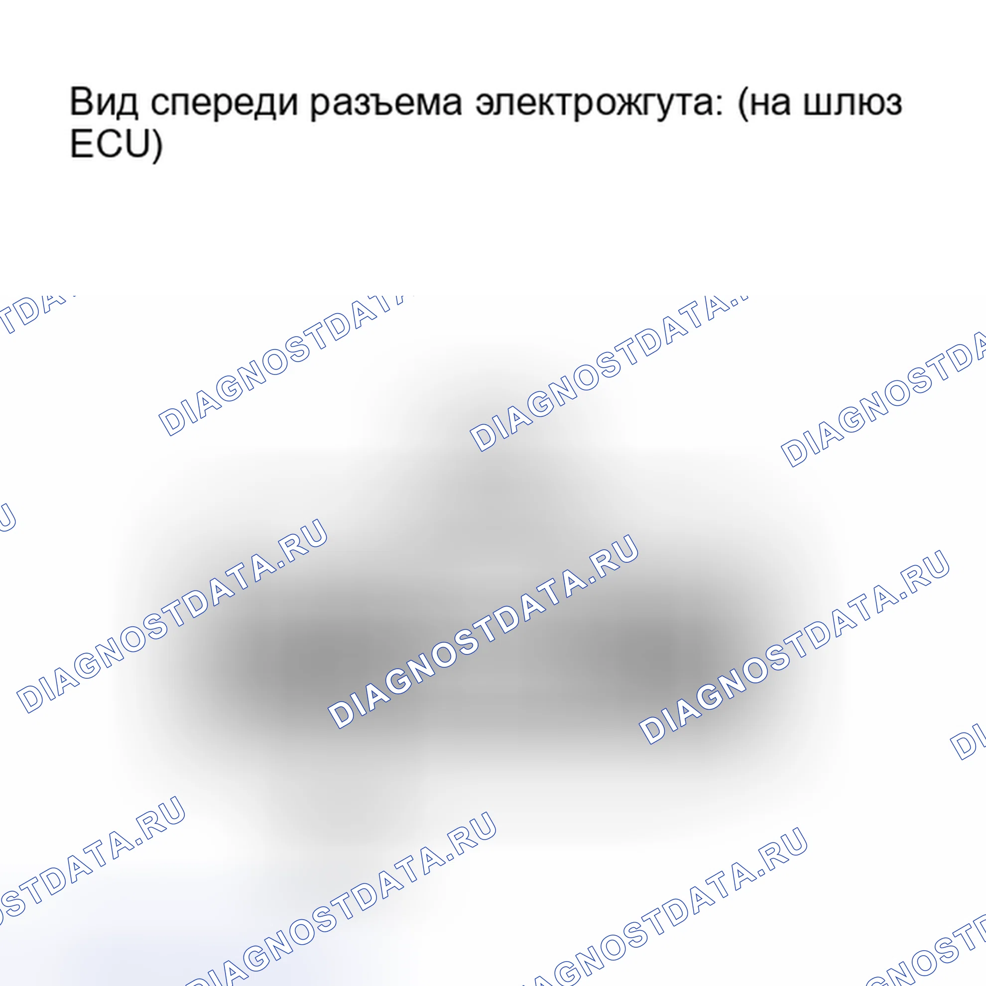 Рис. 151. Lexus IS F I