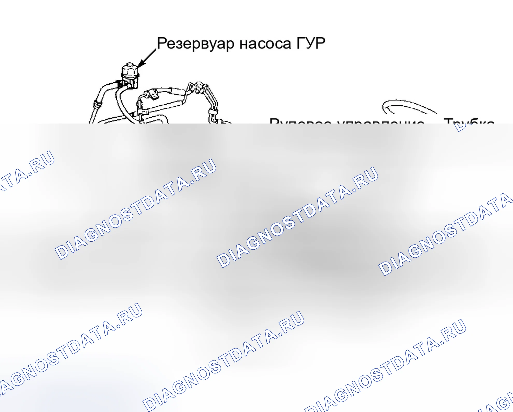Рис. 2. Ford Focus I