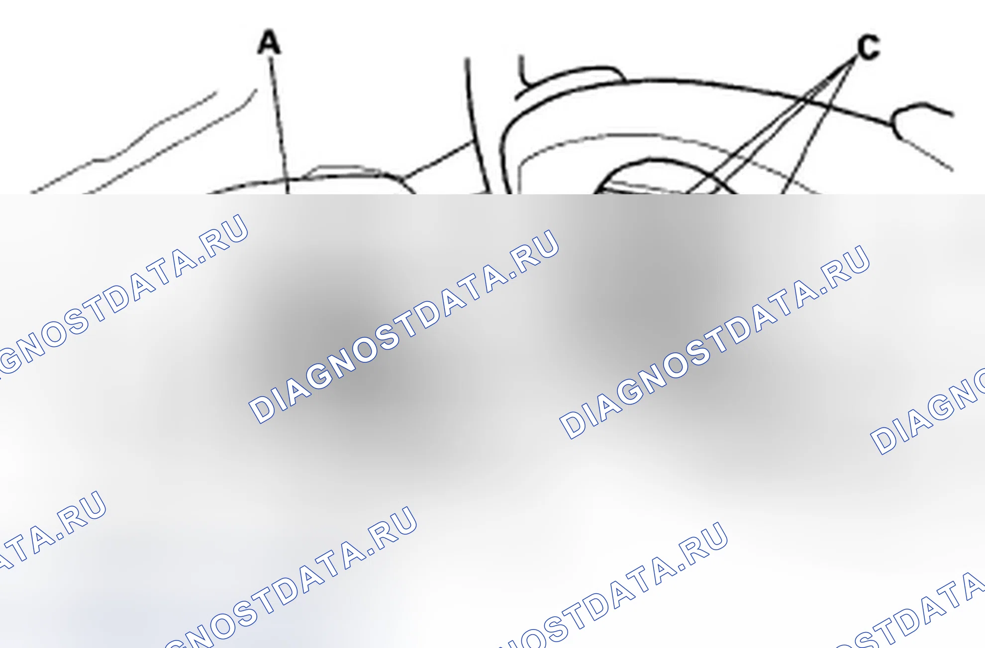 Рис. 21. Acura TSX I