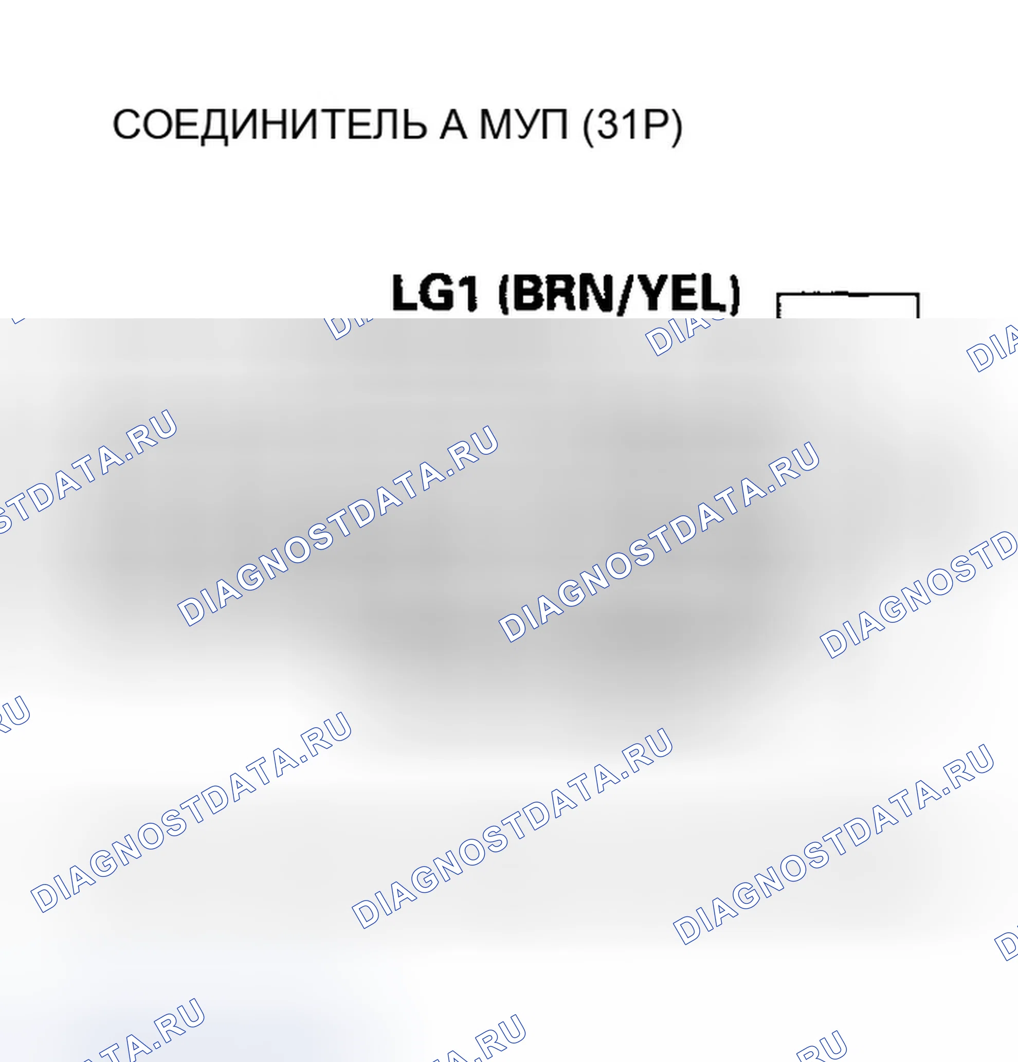 Рис. 493. Honda Accord VII рестайлинг