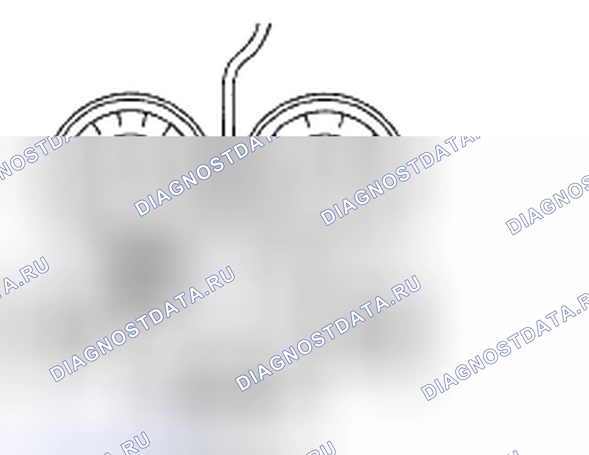 Рис. 68. Subaru Legacy BL/BP рестайлинг