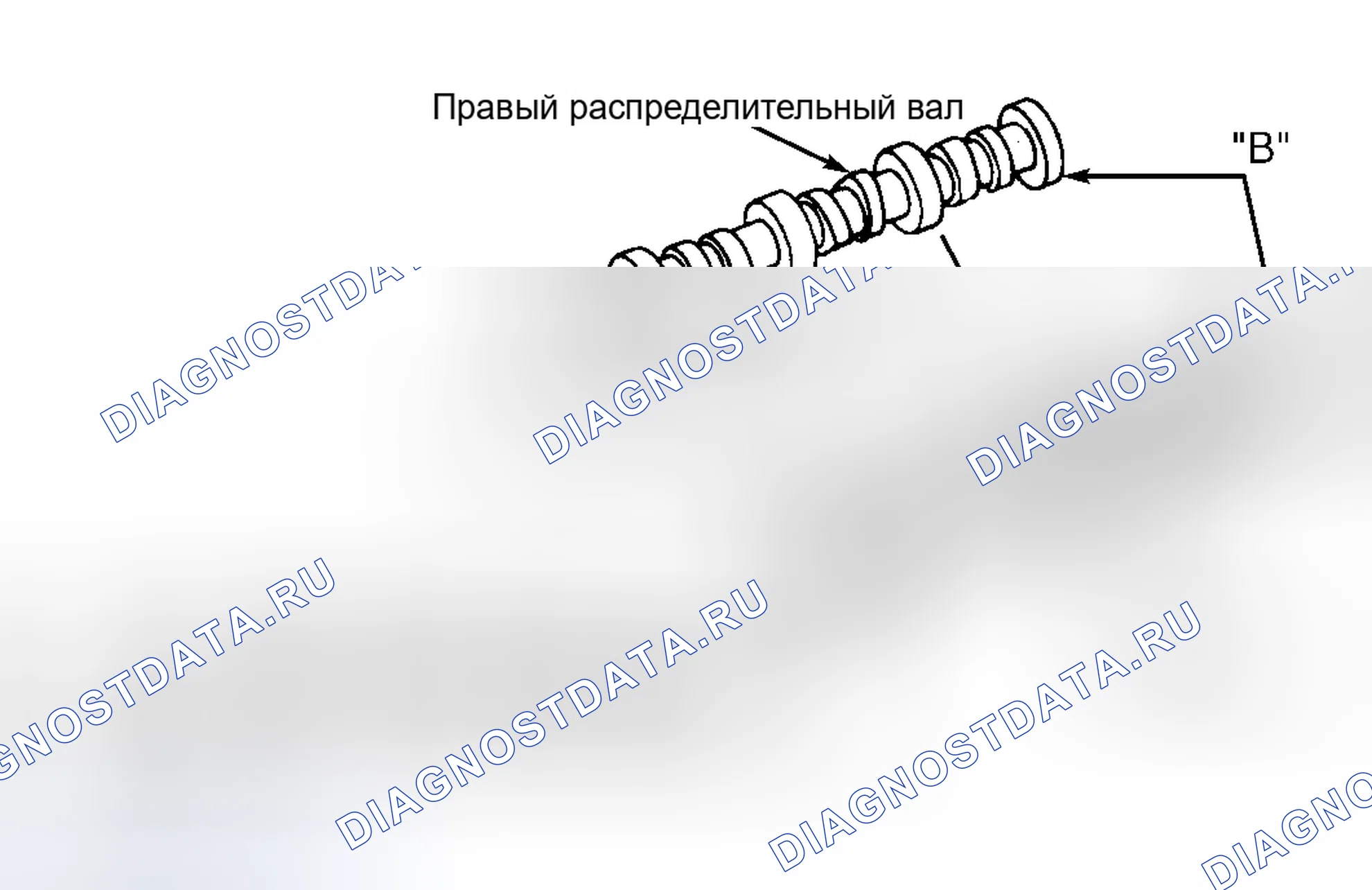 Рис. 13. Nissan Quest II