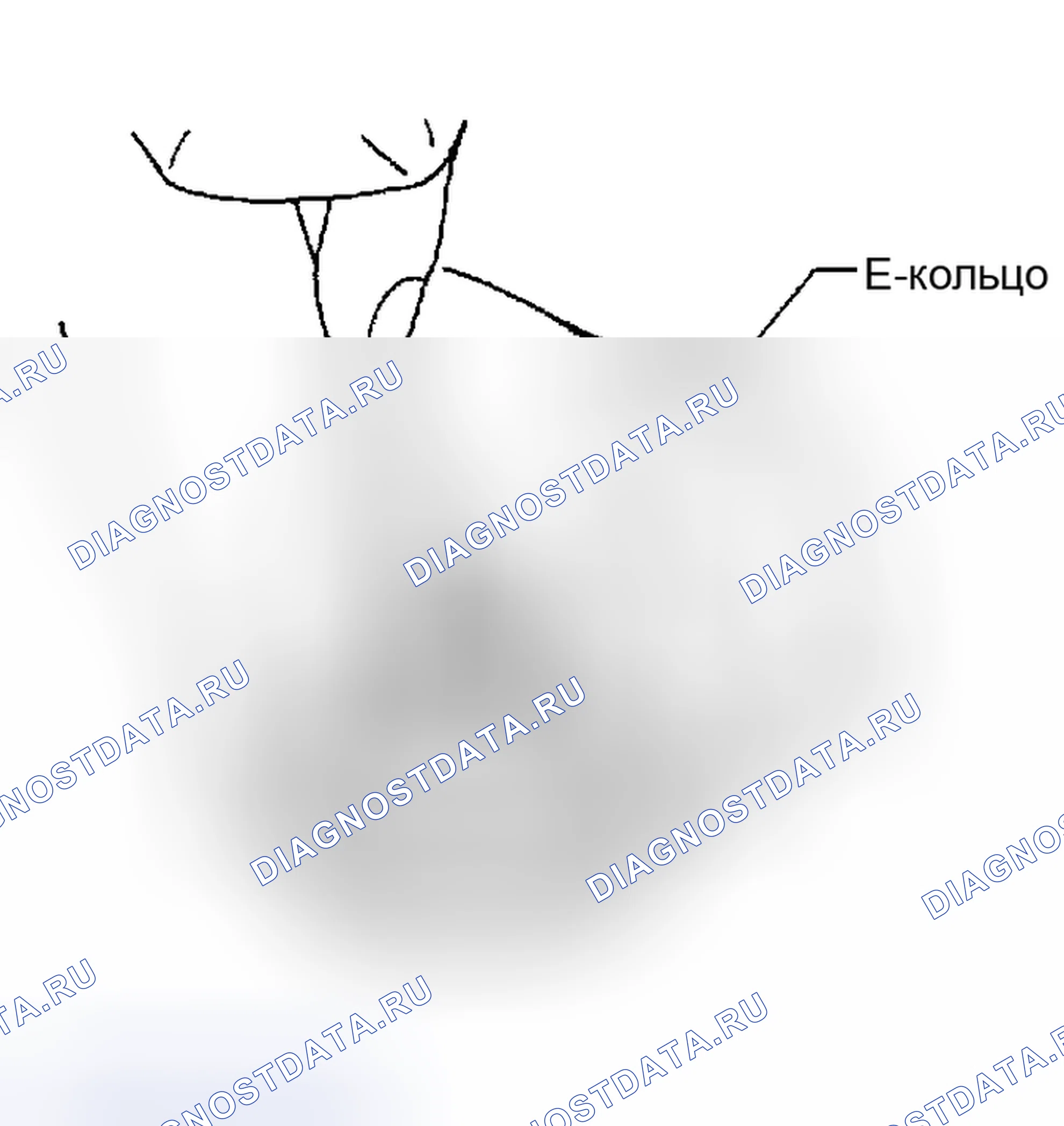 Рис. 1206. Honda Odyssey (North America) I