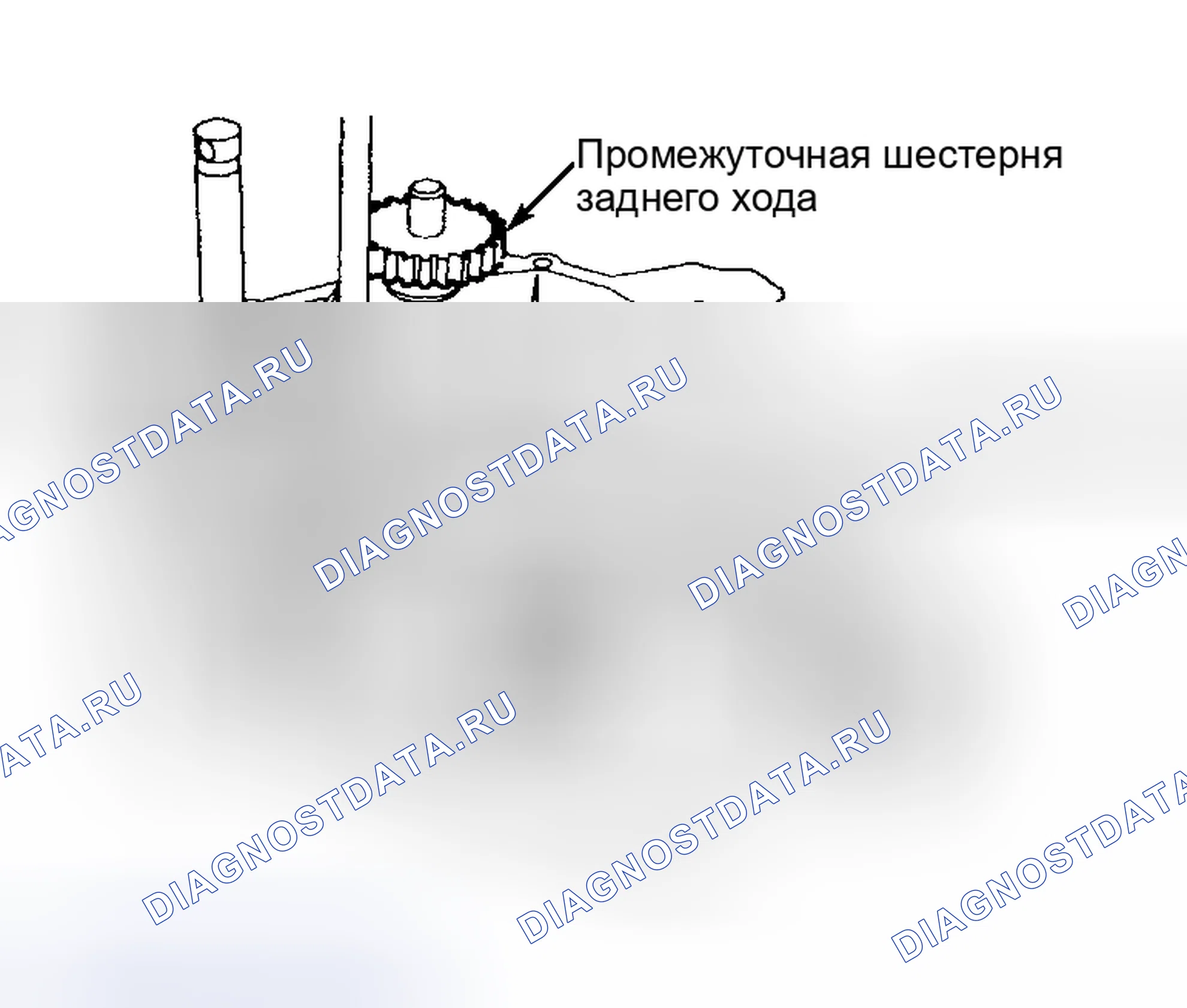 Рис. 50. Ford Focus I рестайлинг