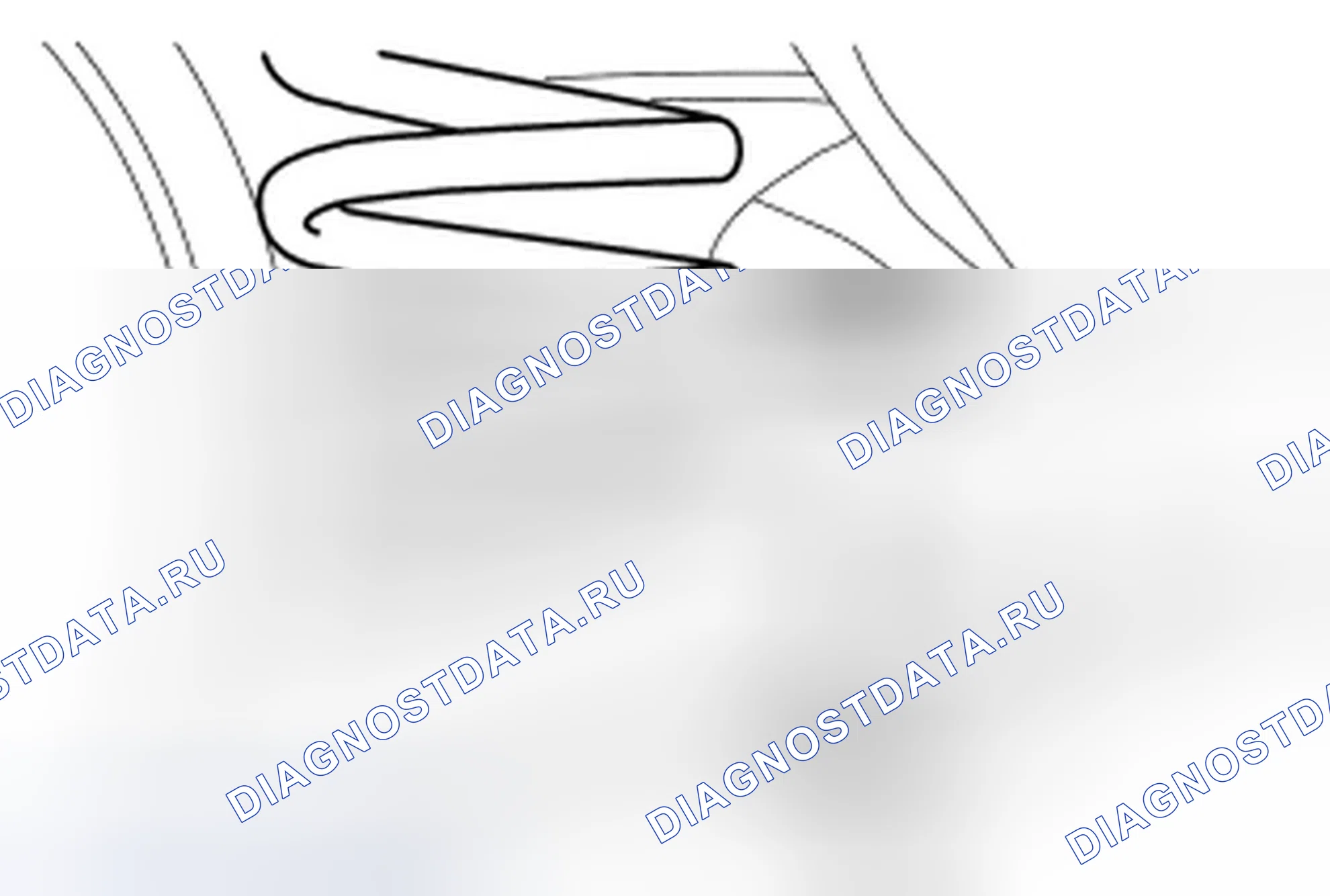 Рис. 22. Ford Mustang V рестайлинг 2
