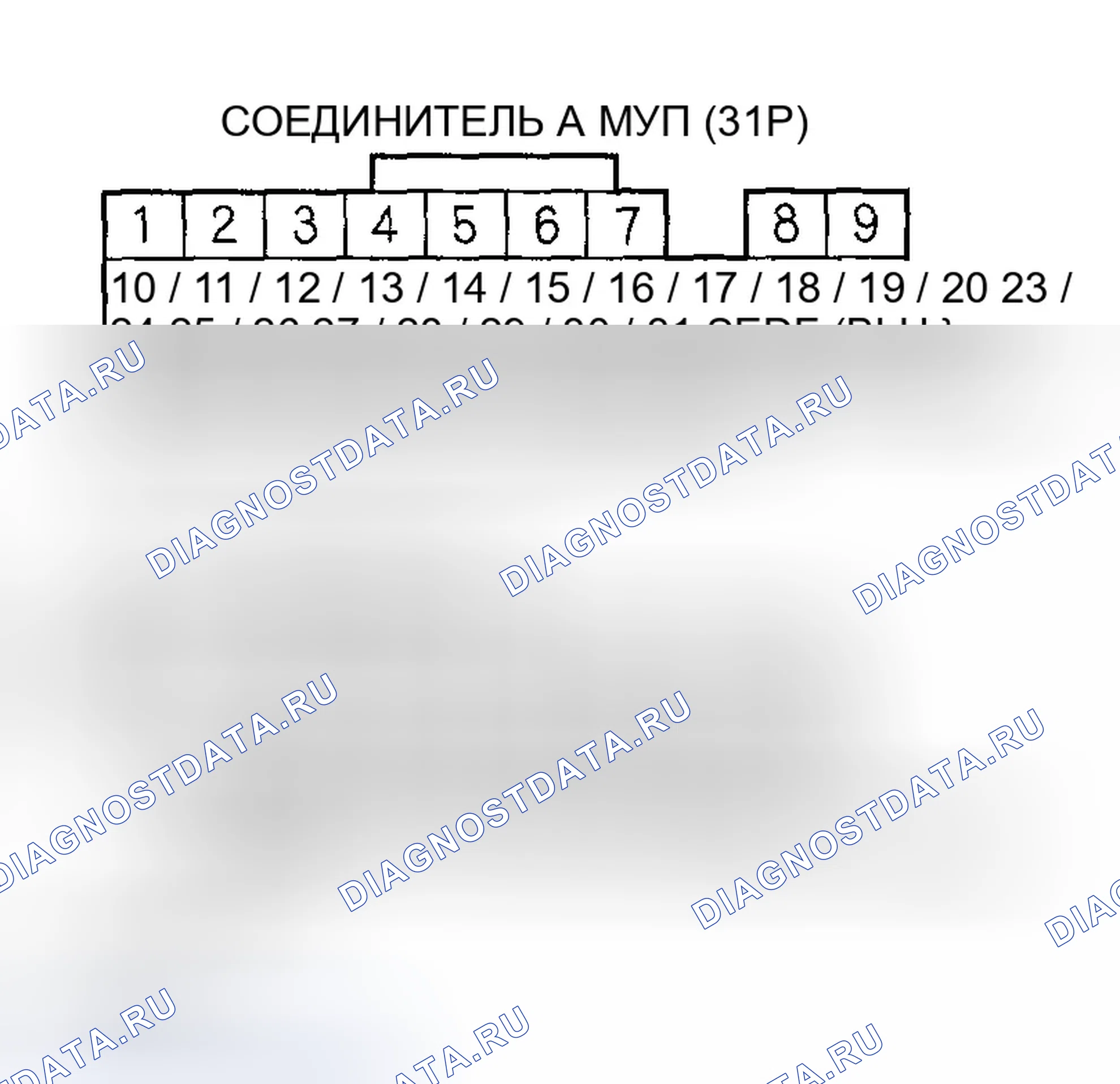 Рис. 423. Honda Accord VII рестайлинг