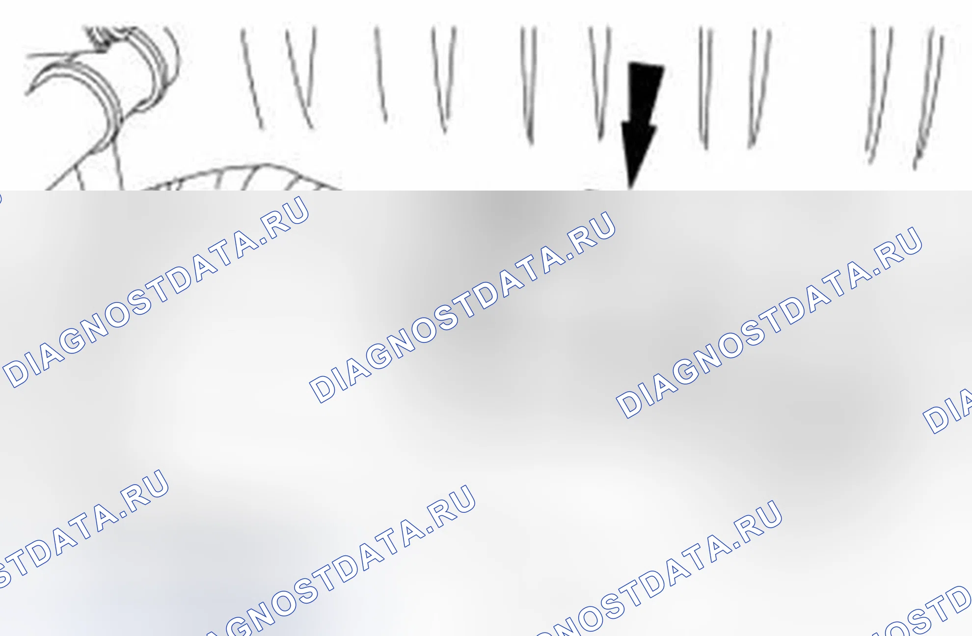 Рис. 2022. Ford Mustang V рестайлинг