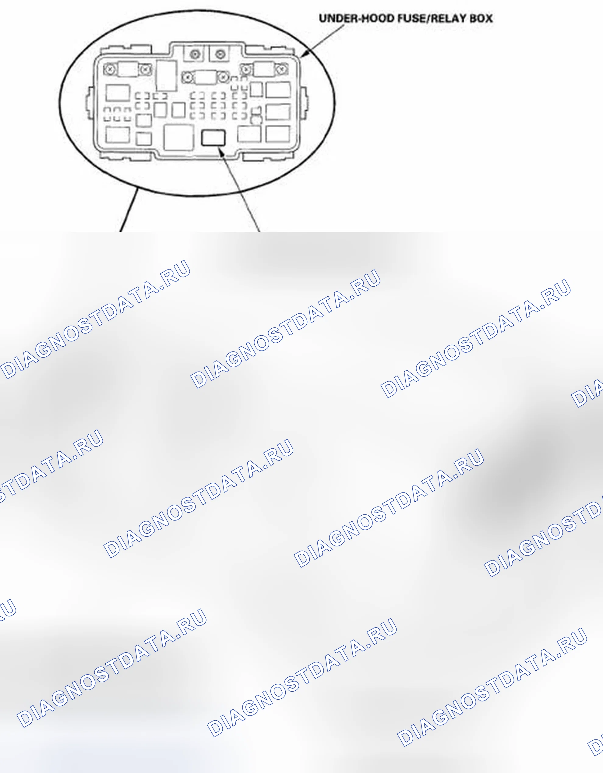 Рис. 1: Указатель расположения компонентов. Honda Element YH2 рестайлинг 2