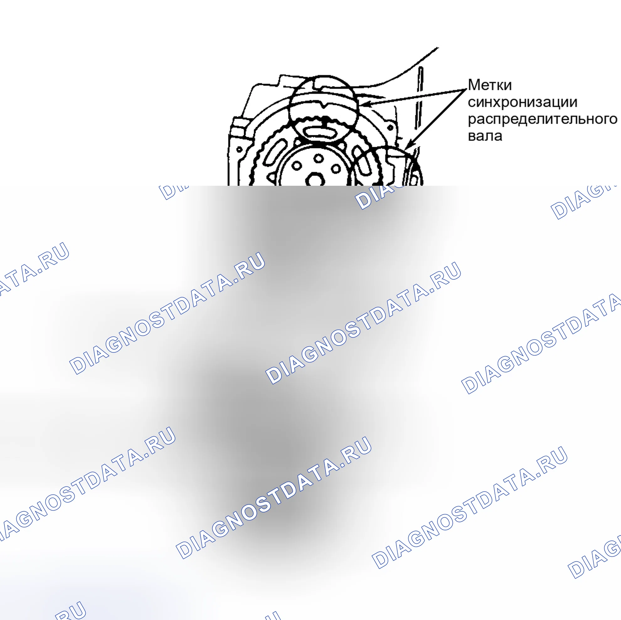 Рис. 3. Ford Festiva I