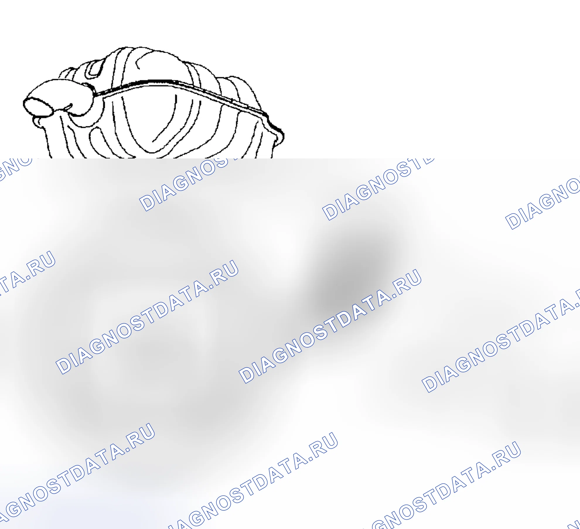 Рис. 44. Kia Rio I рестайлинг