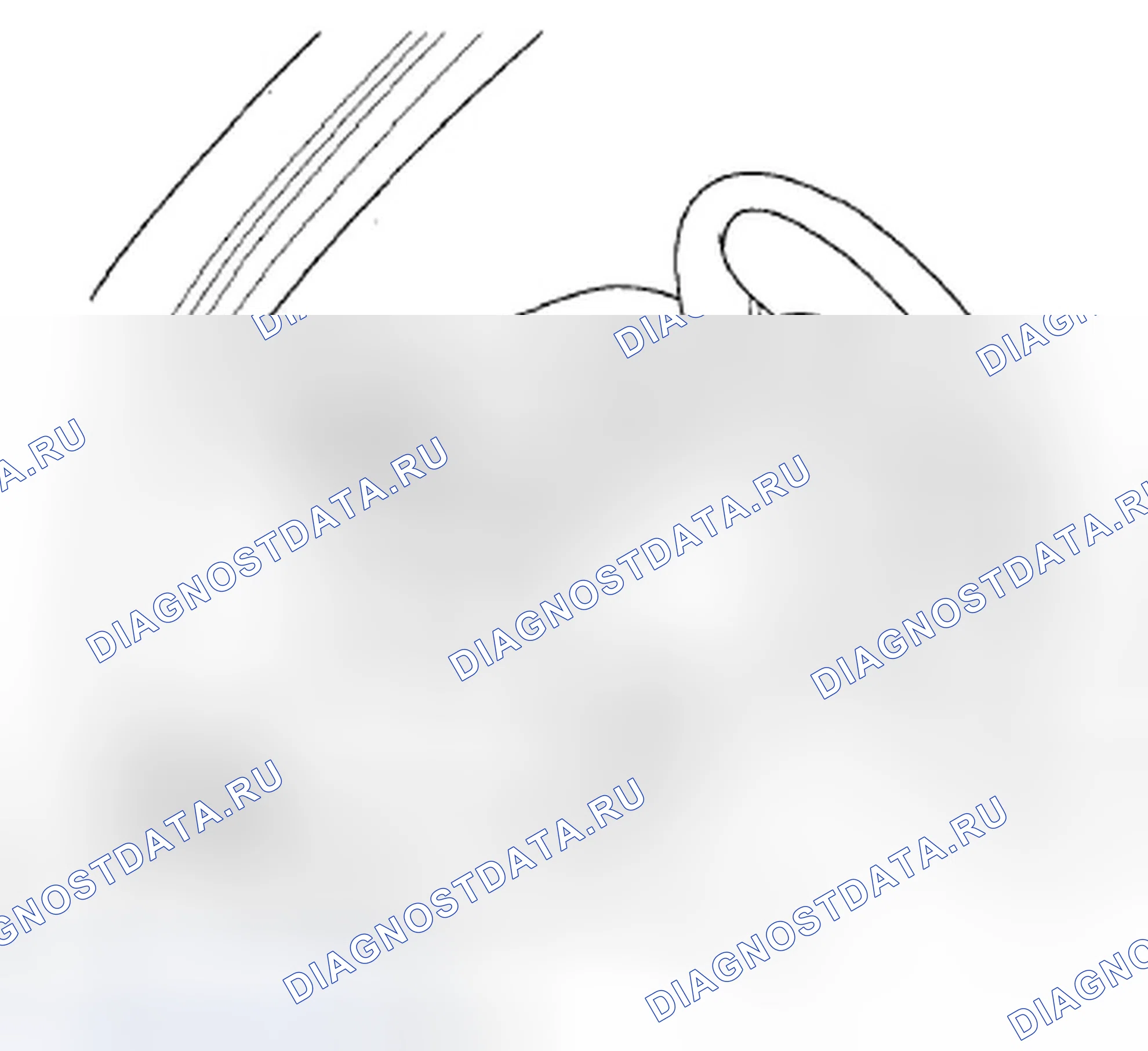 Рис. 1193: Как проверить расшифровка кода ошибки с помощью HDS. Acura TSX II