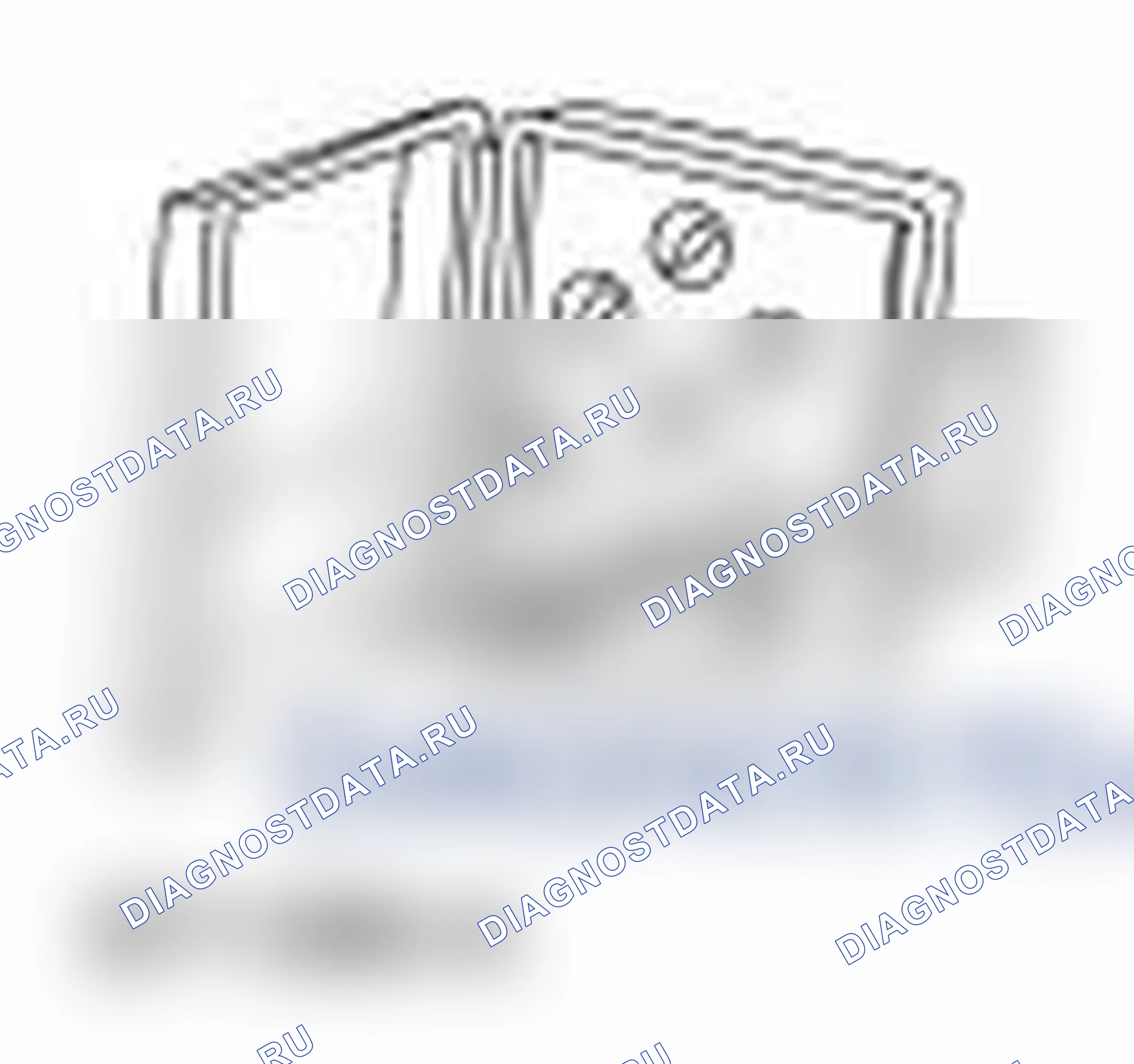 Рис. 31. Ford Transit Connect I рестайлинг