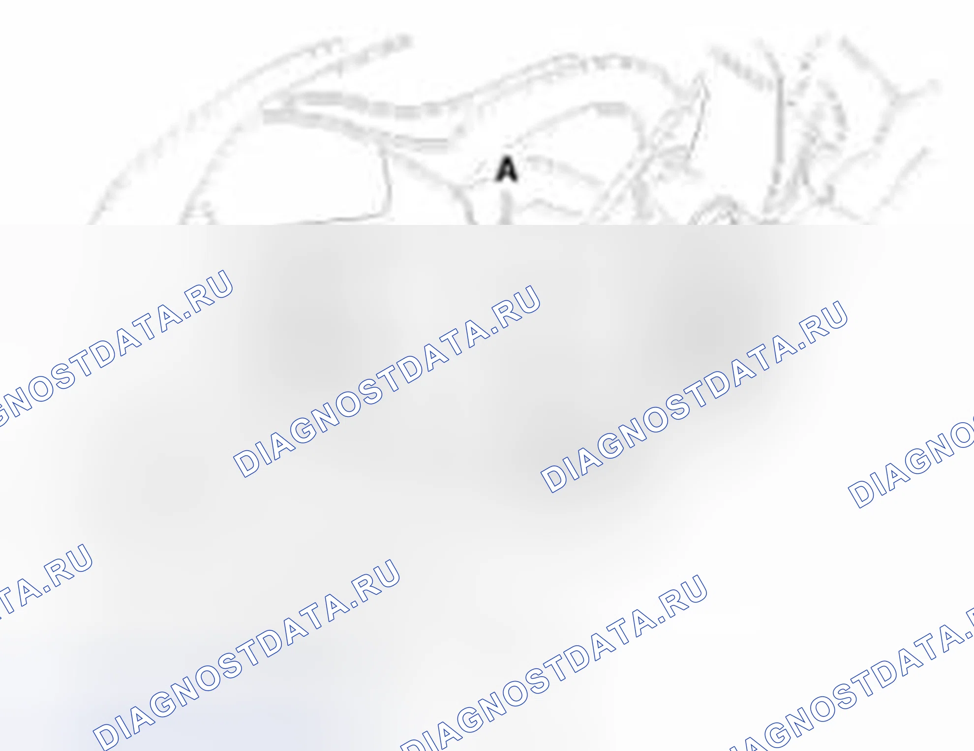 Рис. 17. Geely Vision X3 Pro I