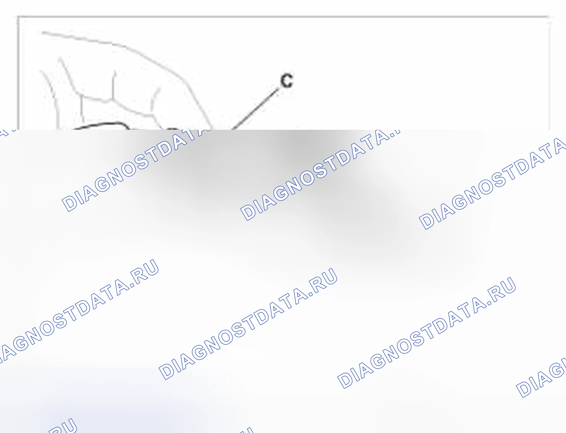 Рис. 30: Подключение. BMW 6 серия F06/F13/F12