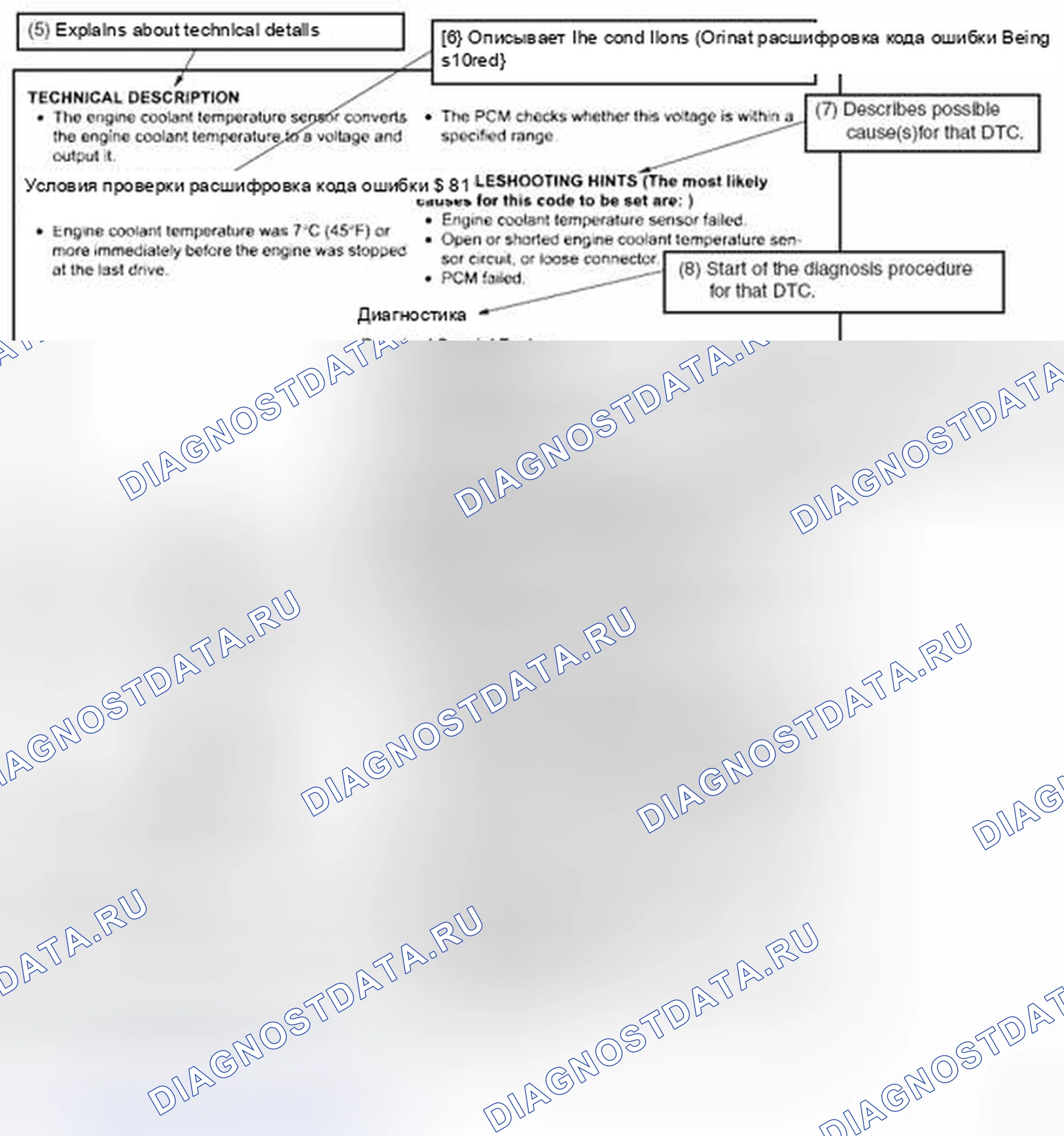 Рис. 4. Mazda MPV III