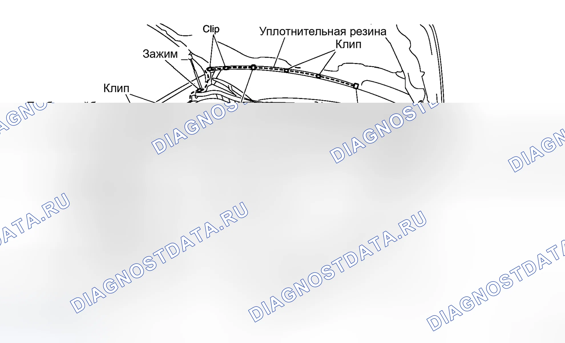 Рис. 39: Схема расположения трубок омывателя. Infiniti M35 III