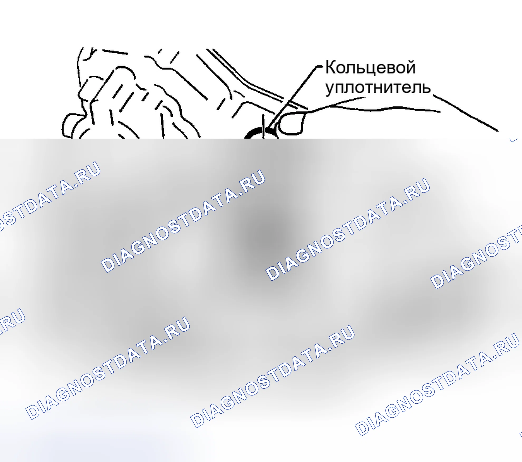 Рис. 1099. Nissan Sentra B15