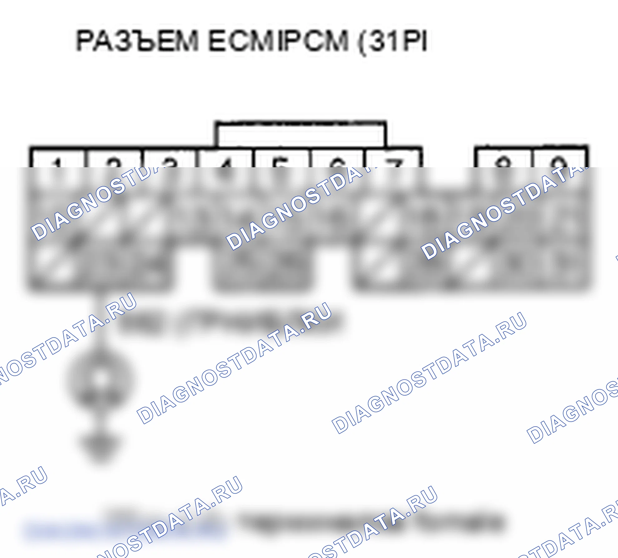 Рис. 377. Honda Element YH2 рестайлинг