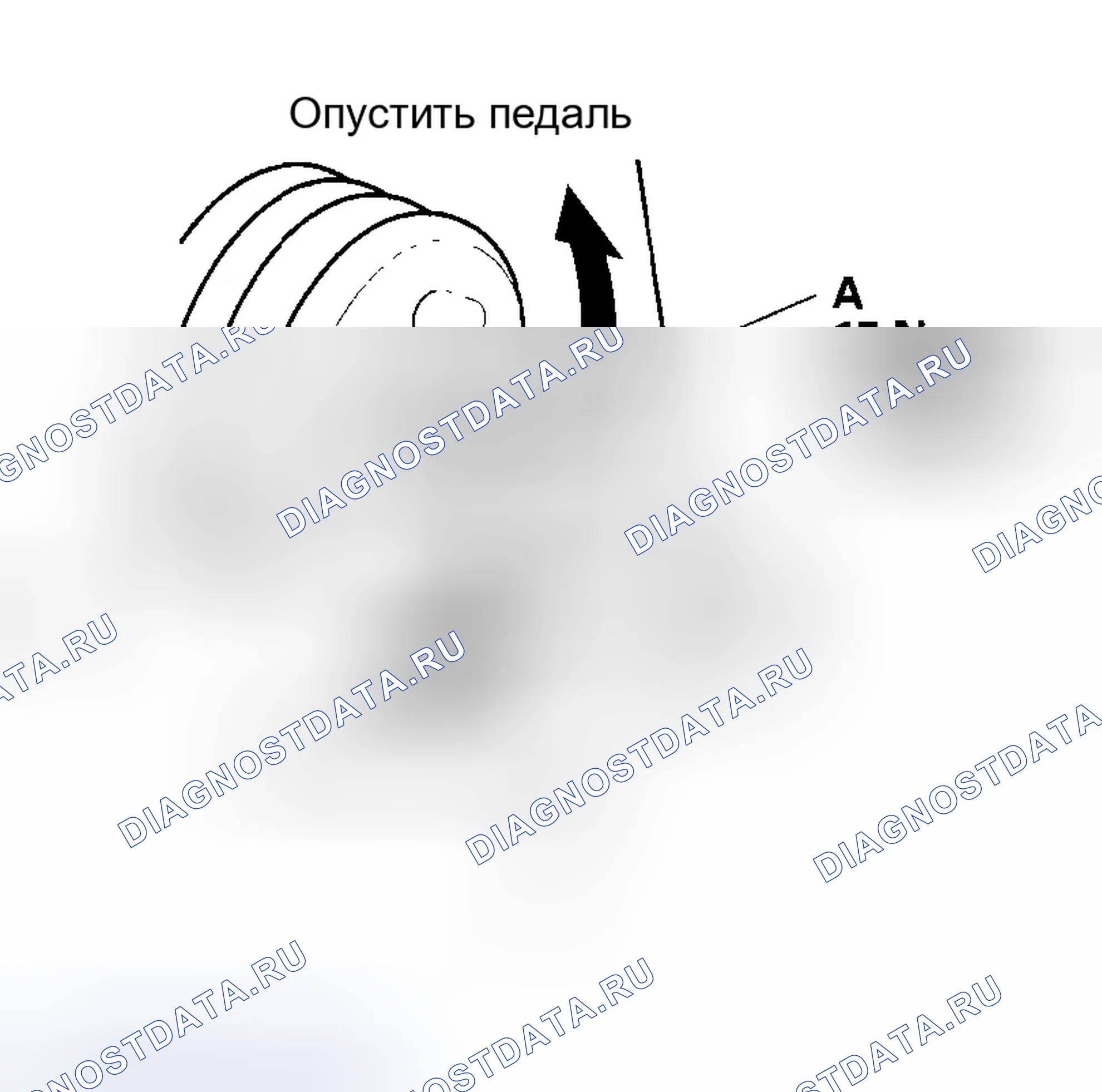 Рис. 60. Honda Accord VII рестайлинг