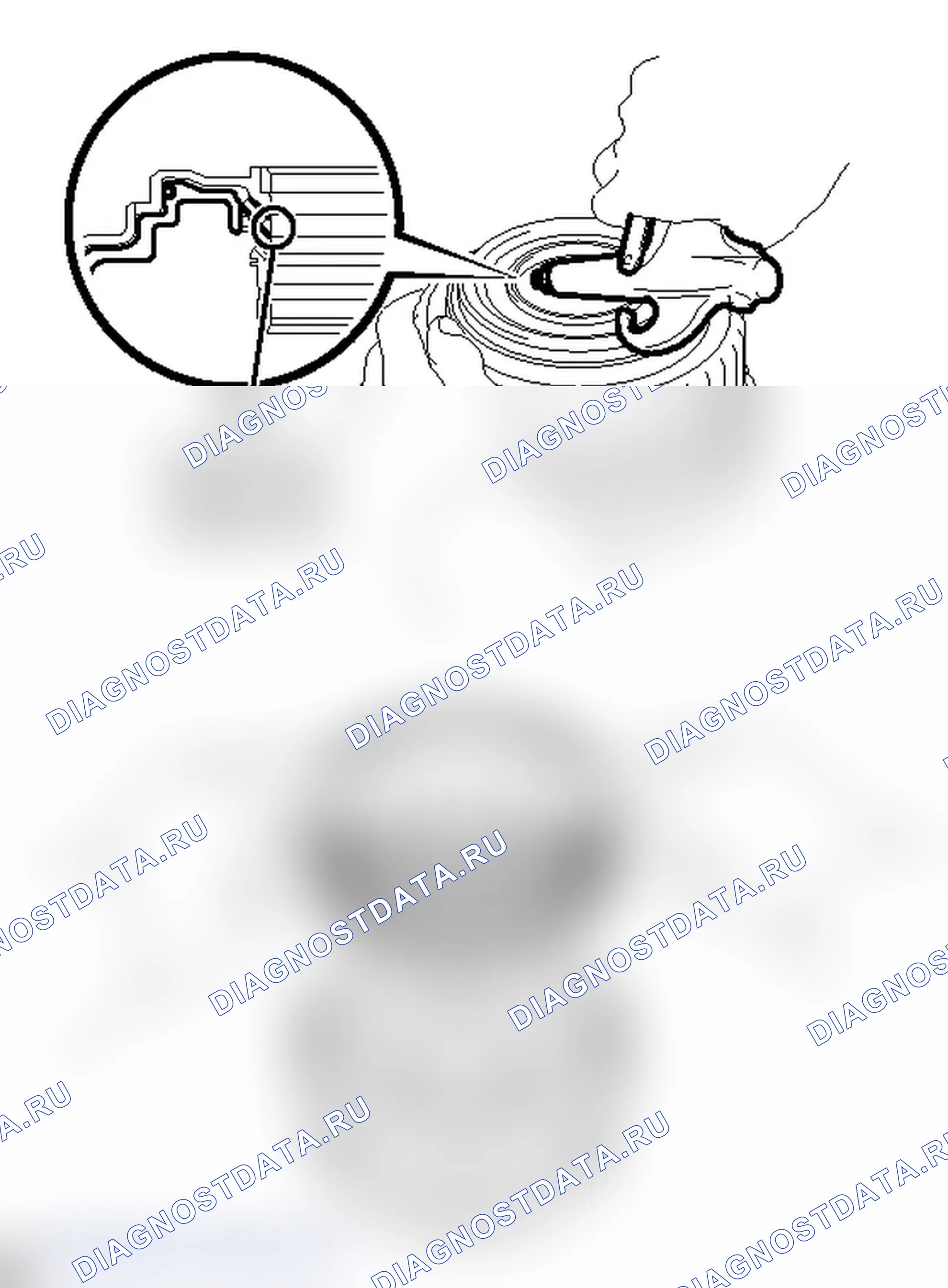 Рис. 231. Lexus IS F I