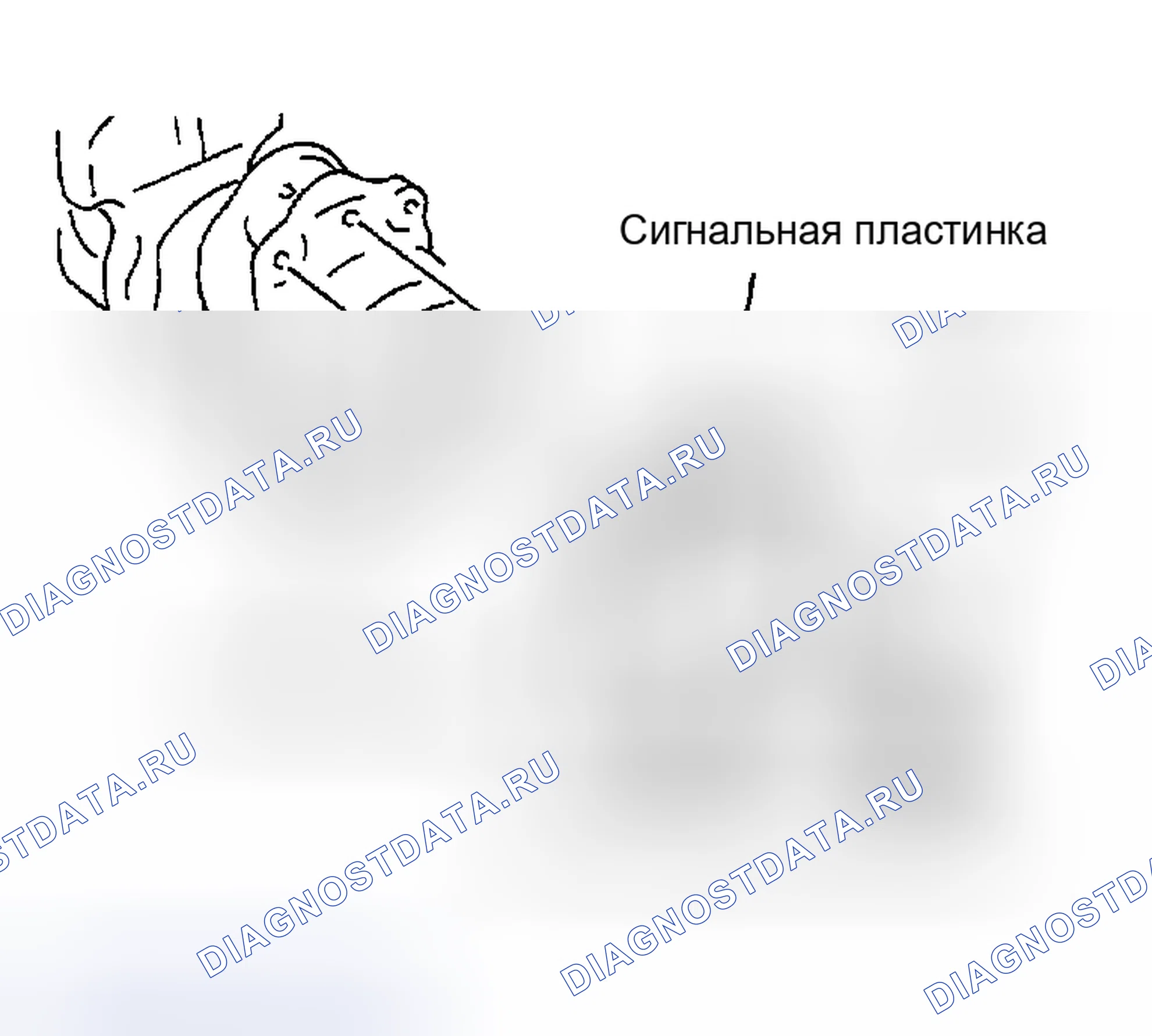 Рис. 494: КОЛЕНЧАТЫЙ ВАЛ. Nissan Sentra B15