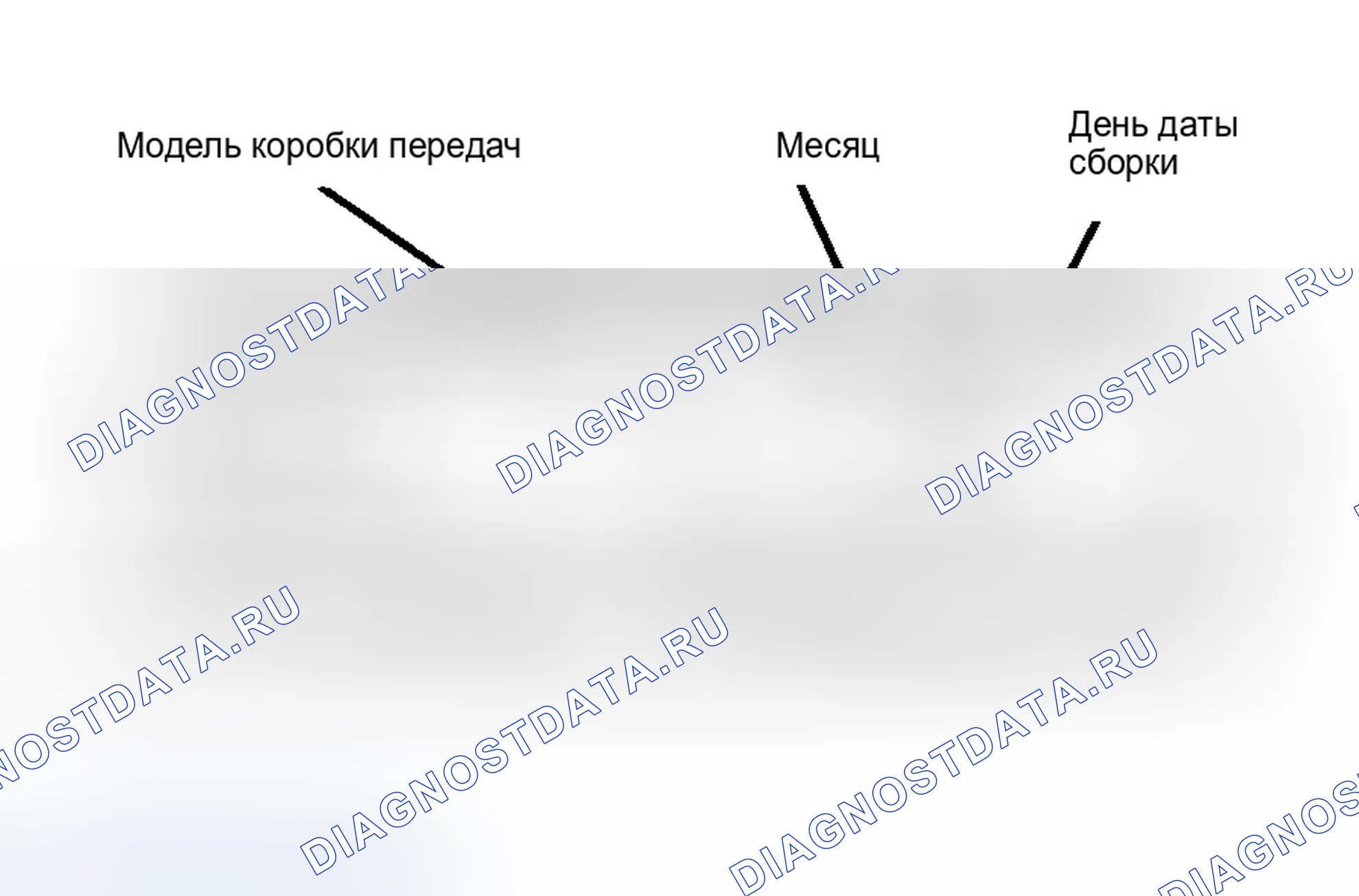 Рис. 20: ИДЕНТИФИКАЦИЯ. Ford Econoline E350 