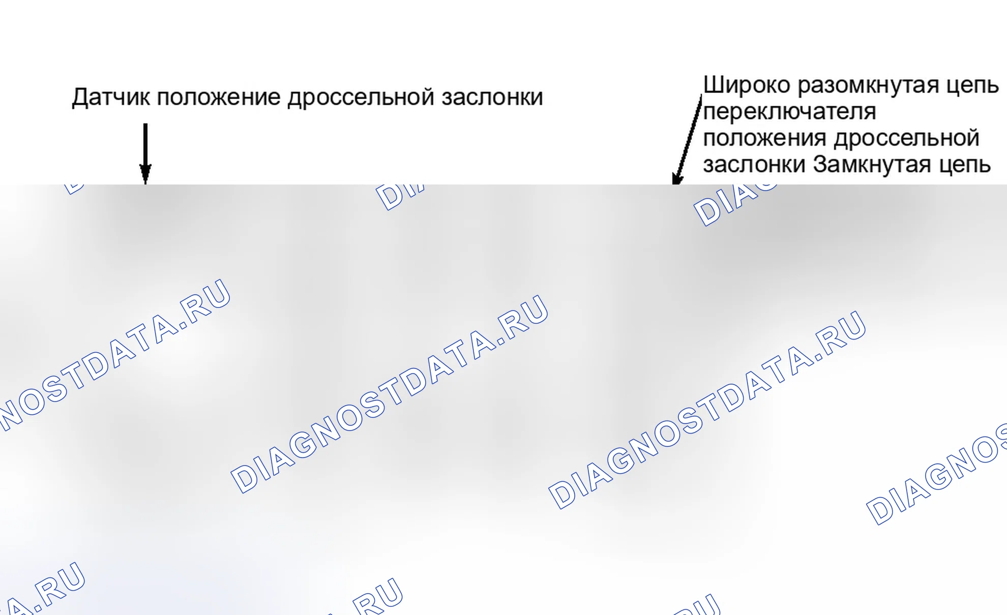 Рис. 6. Infiniti QX4 I