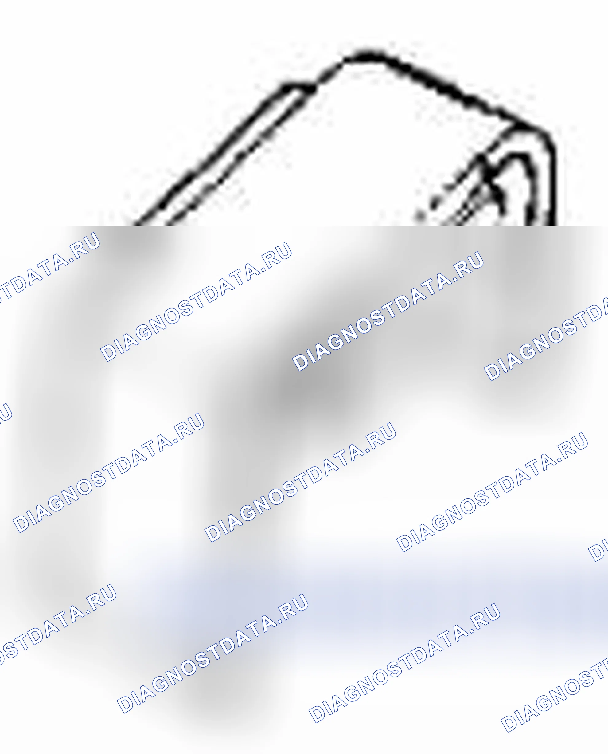 Рис. 238. Suzuki Grand Vitara II рестайлинг 2
