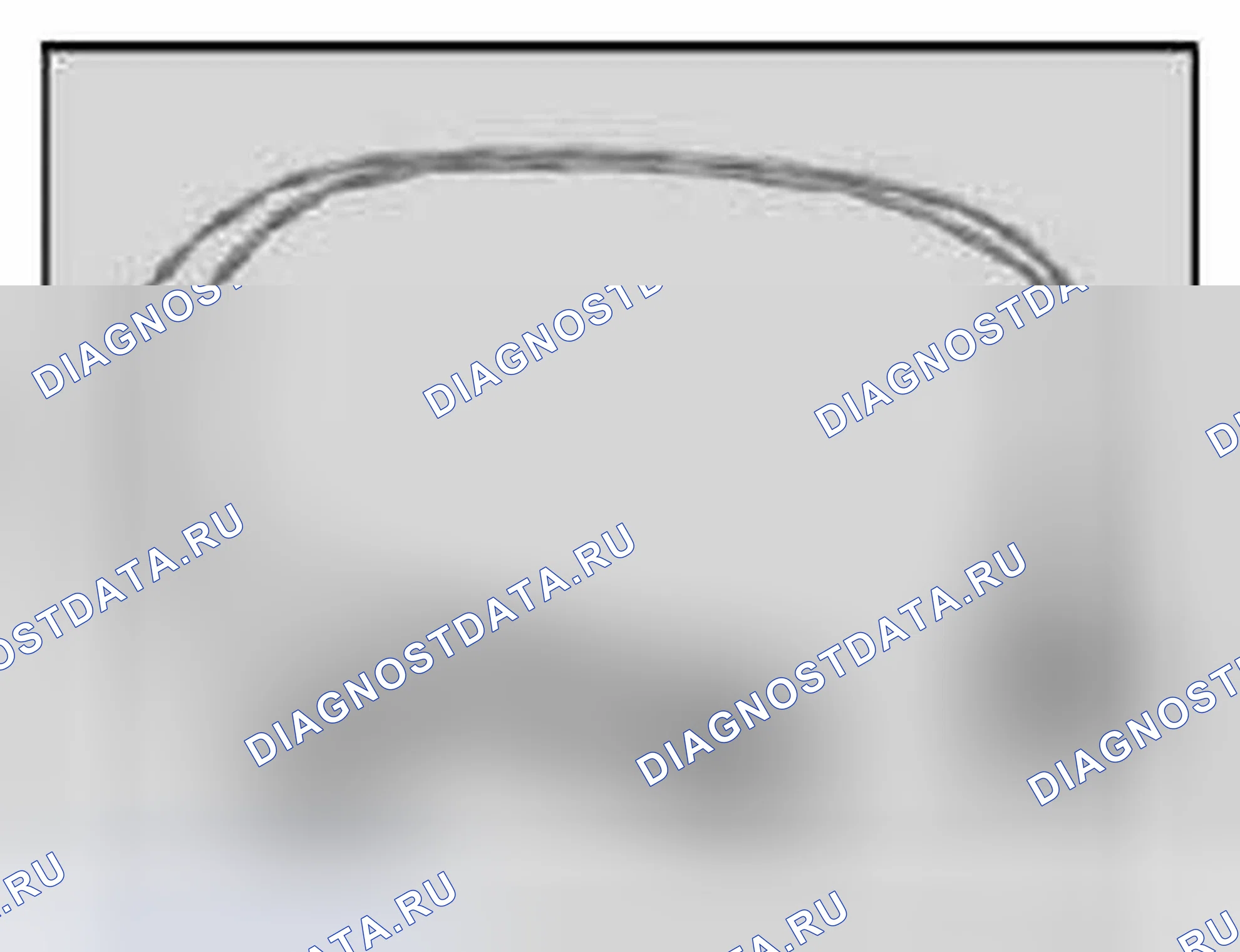 Рис. 304: 61 4 370 Вывод V-адаптера (2-контактный), с нулевым кодом. BMW M6 E63/E64