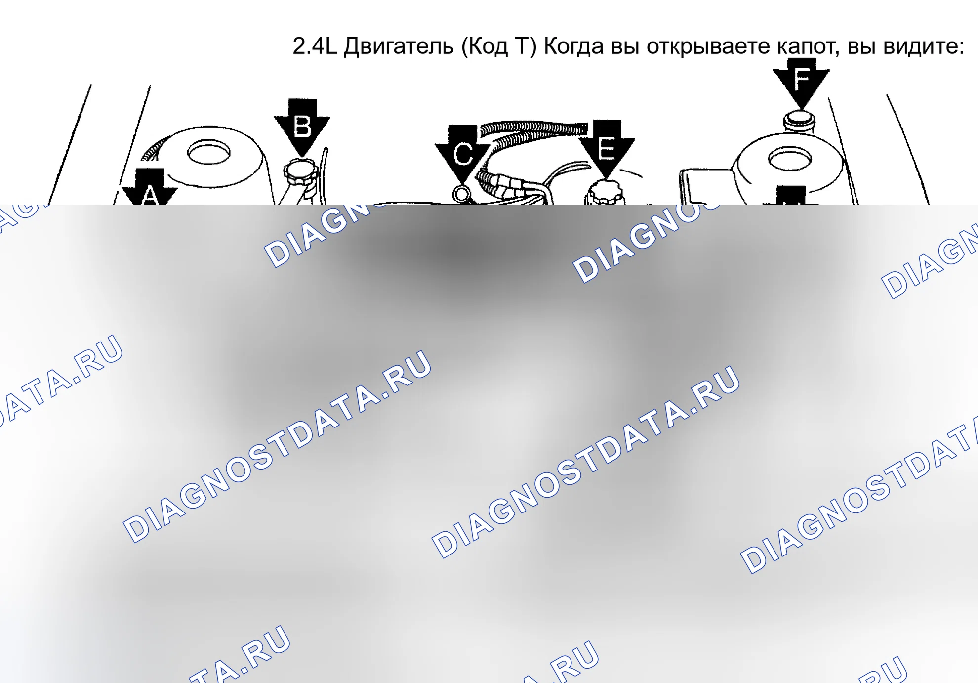 Рис. 5. Hyundai Staria I