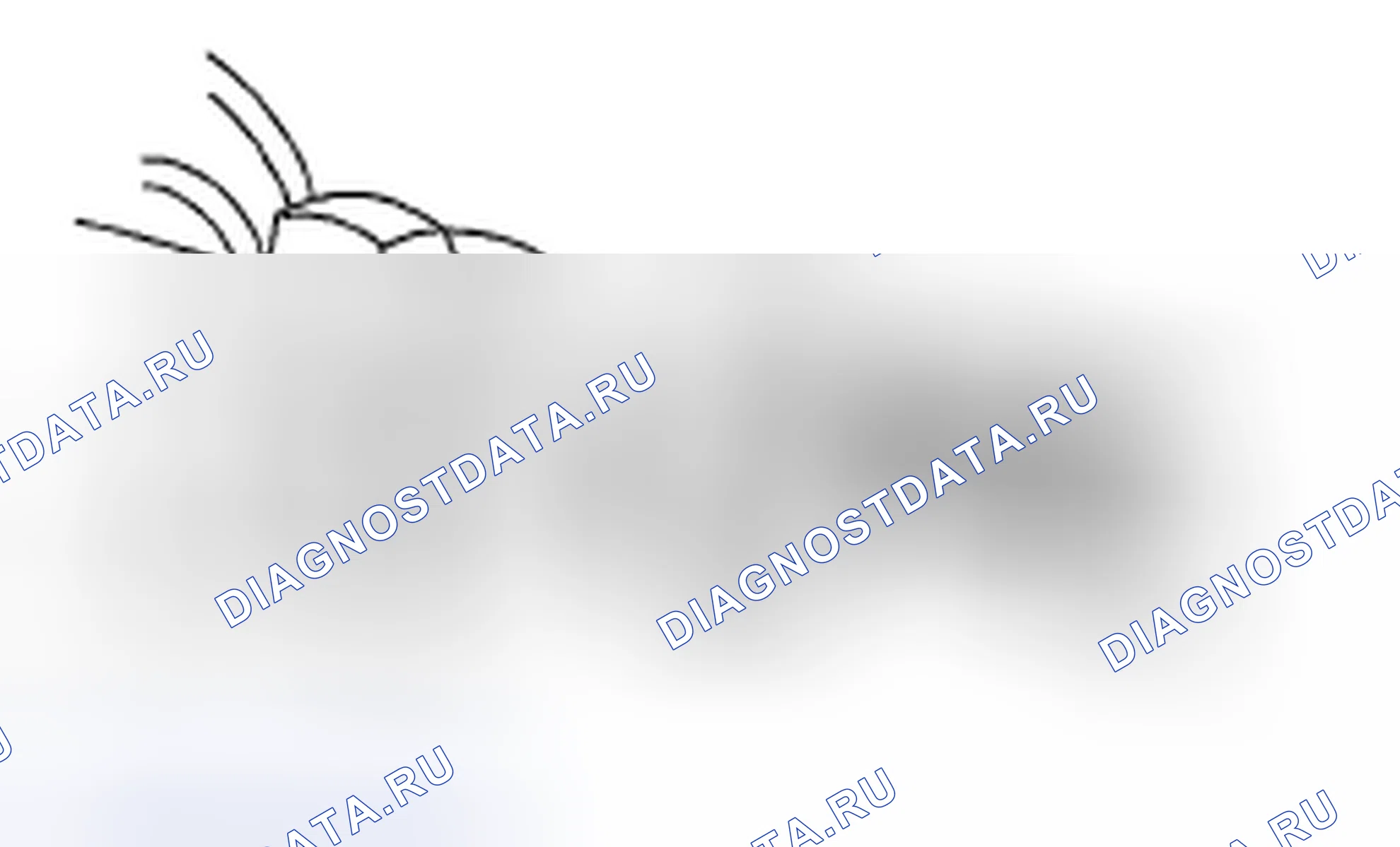 Рис. 56. Subaru Tribeca WX рестайлинг