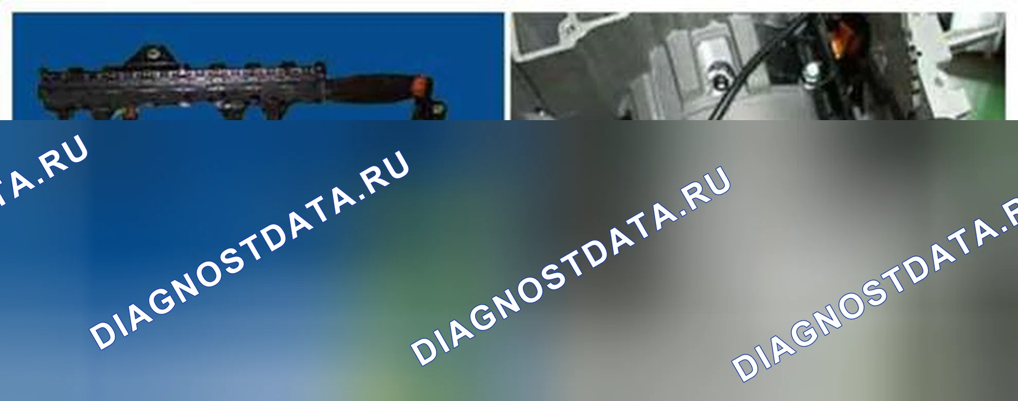 Рис. 473: Расположение компонентов. BMW 6 серия F06/F13/F12