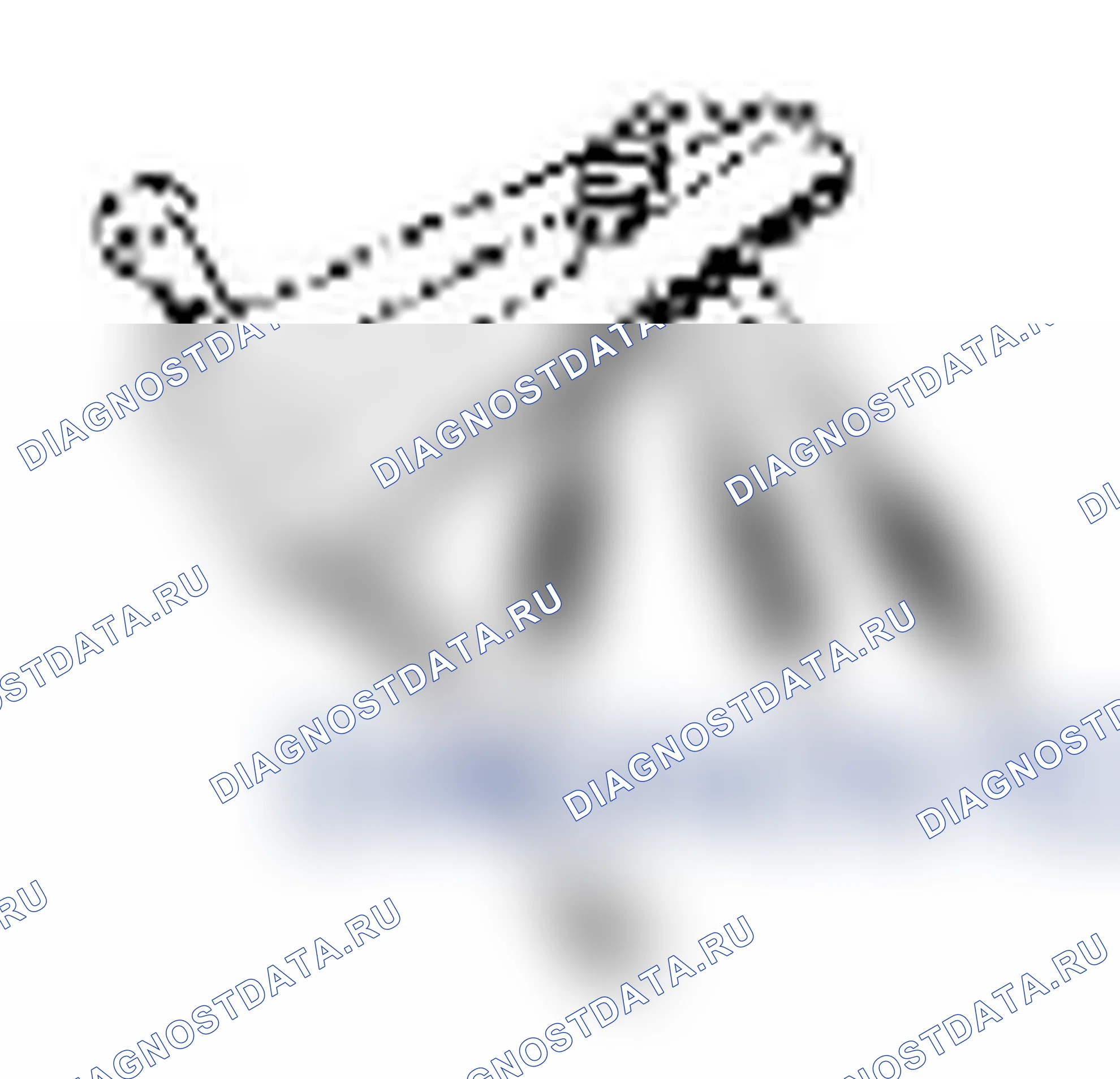 Рис. 565. Suzuki Grand Vitara II рестайлинг