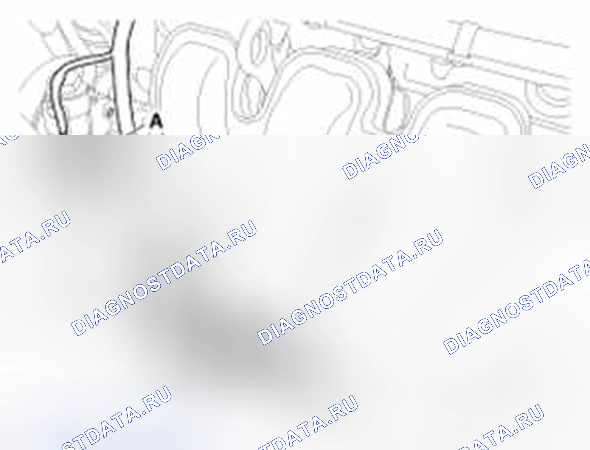 Рис. 21. Kia Forte I