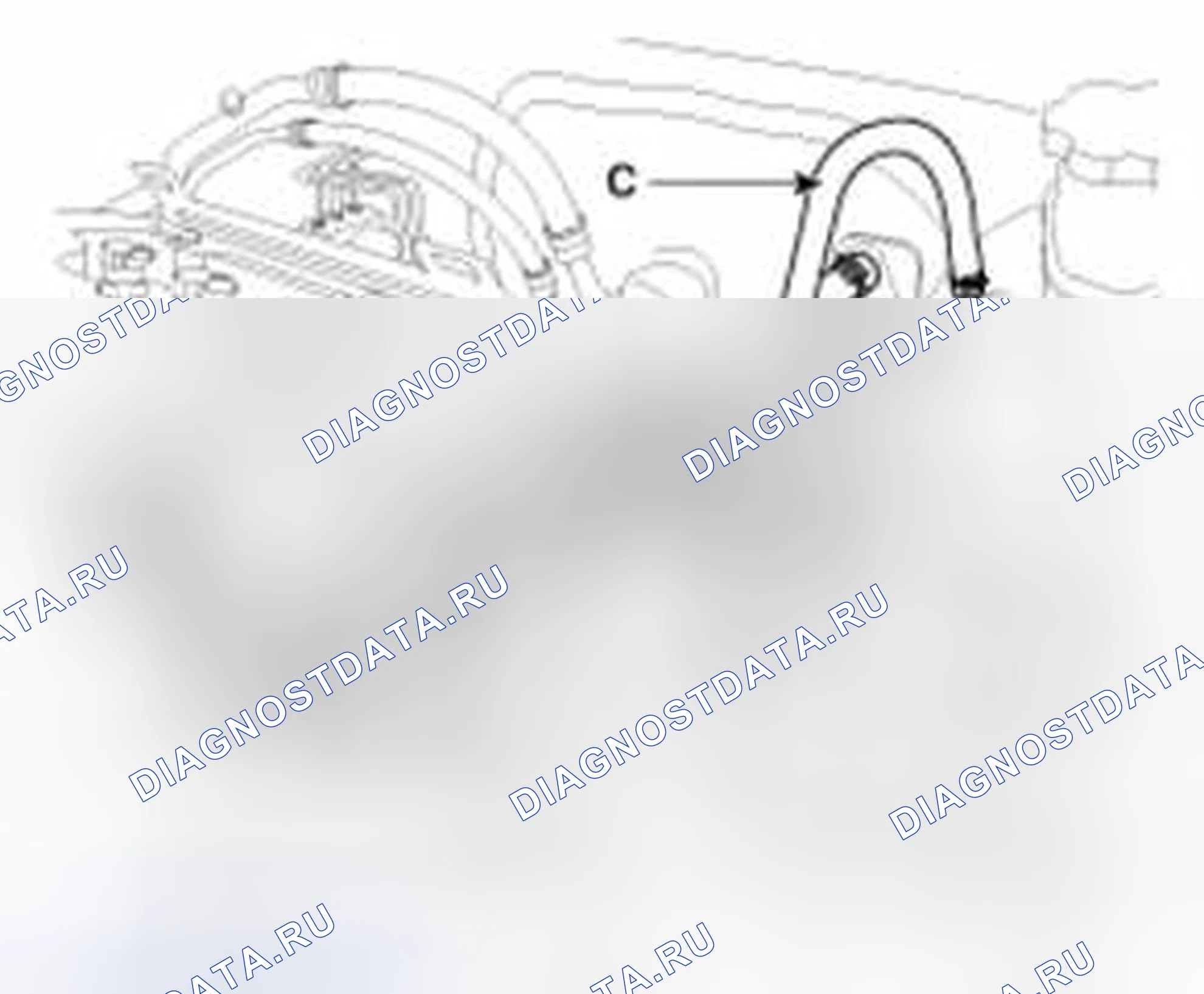 Рис. 241. Haval Beast (Shenshou) I