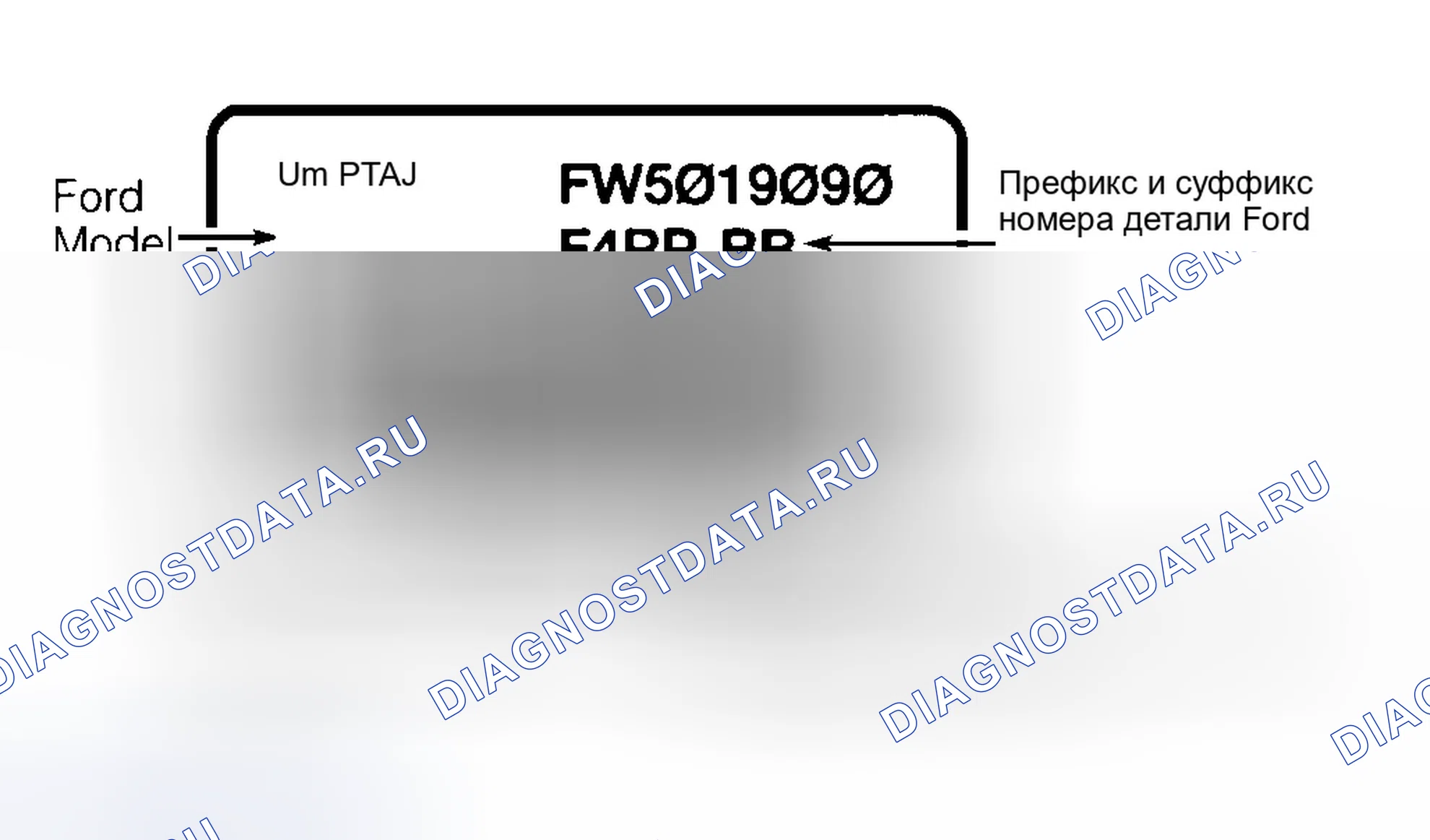 Рис. 248. Ford Escape I